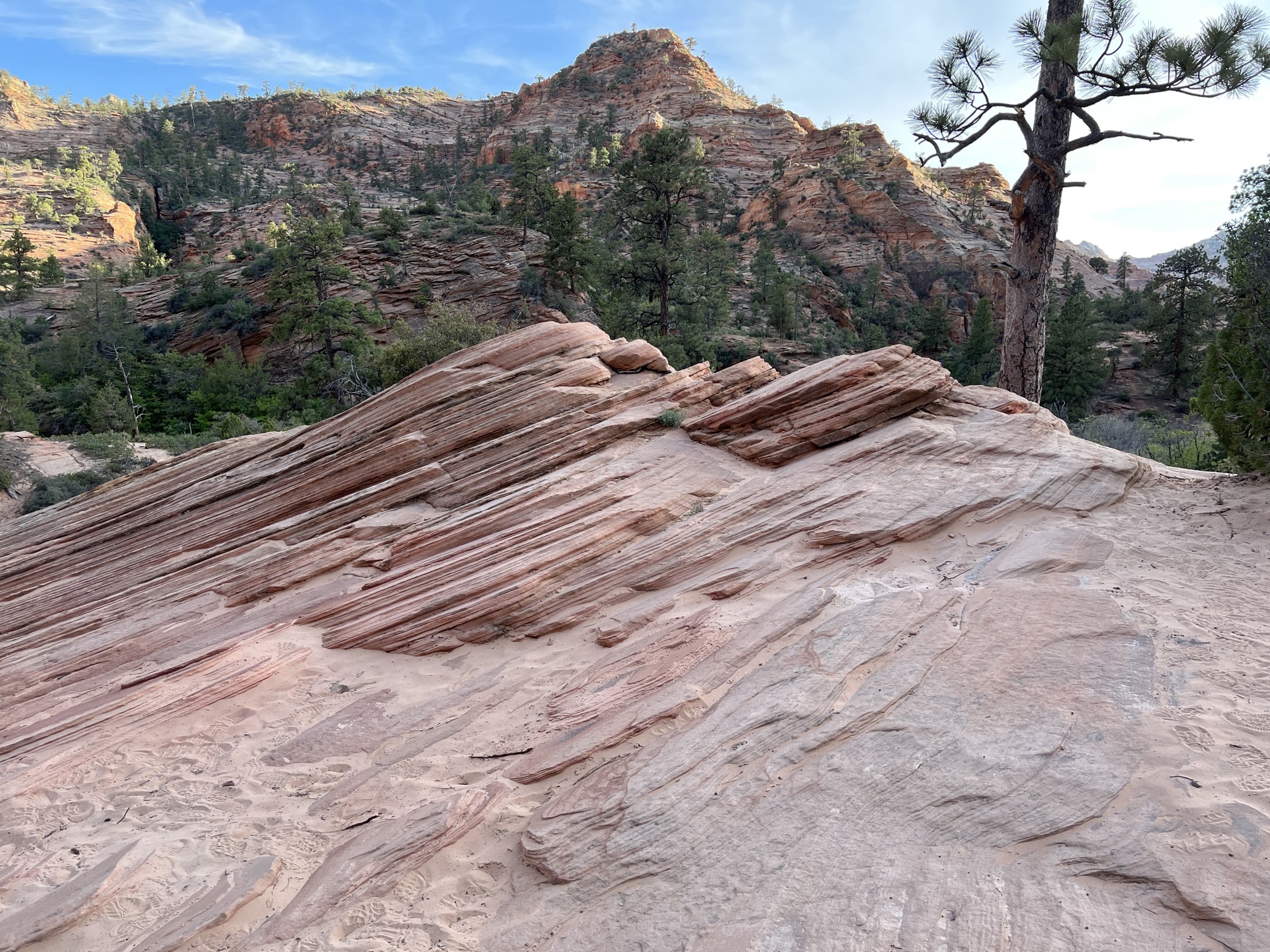 Zion National Park