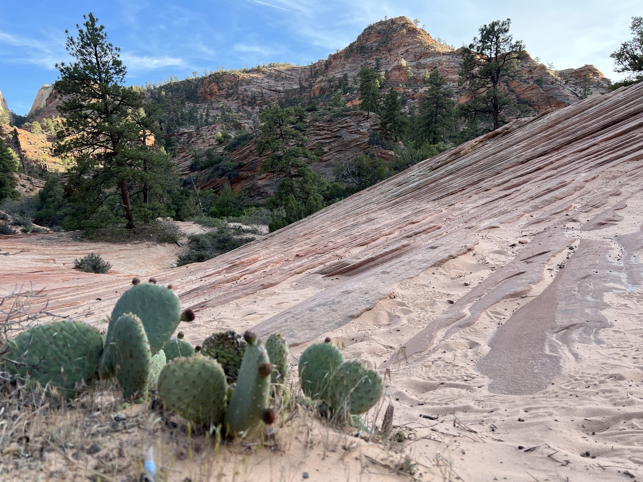 Zion National Park