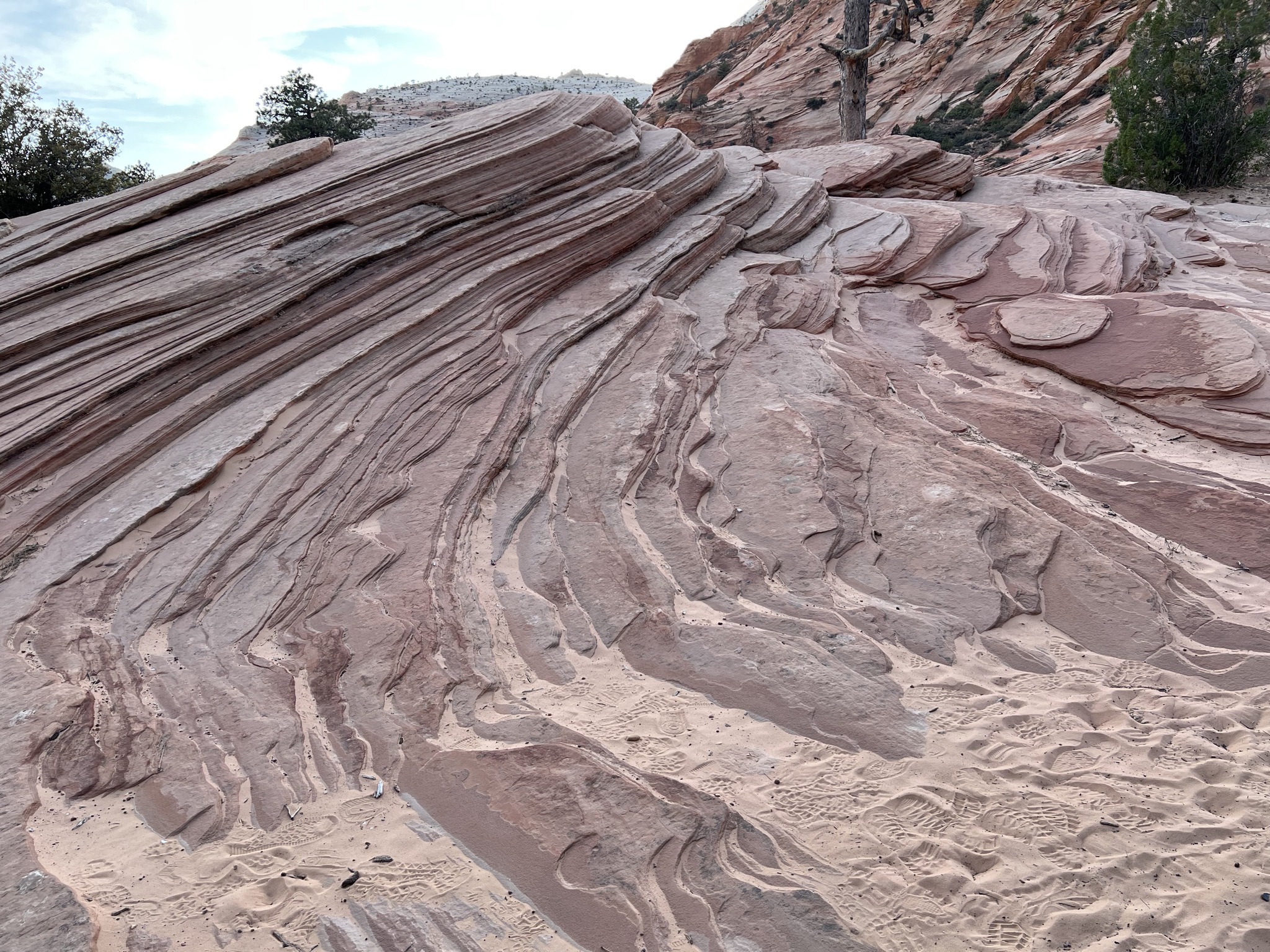Zion National Park