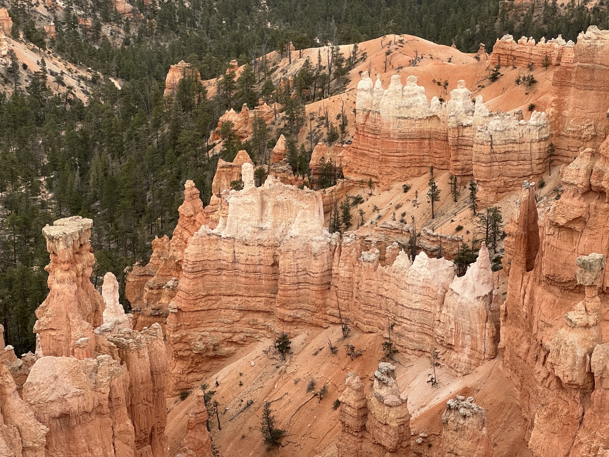 Bryce Canyon