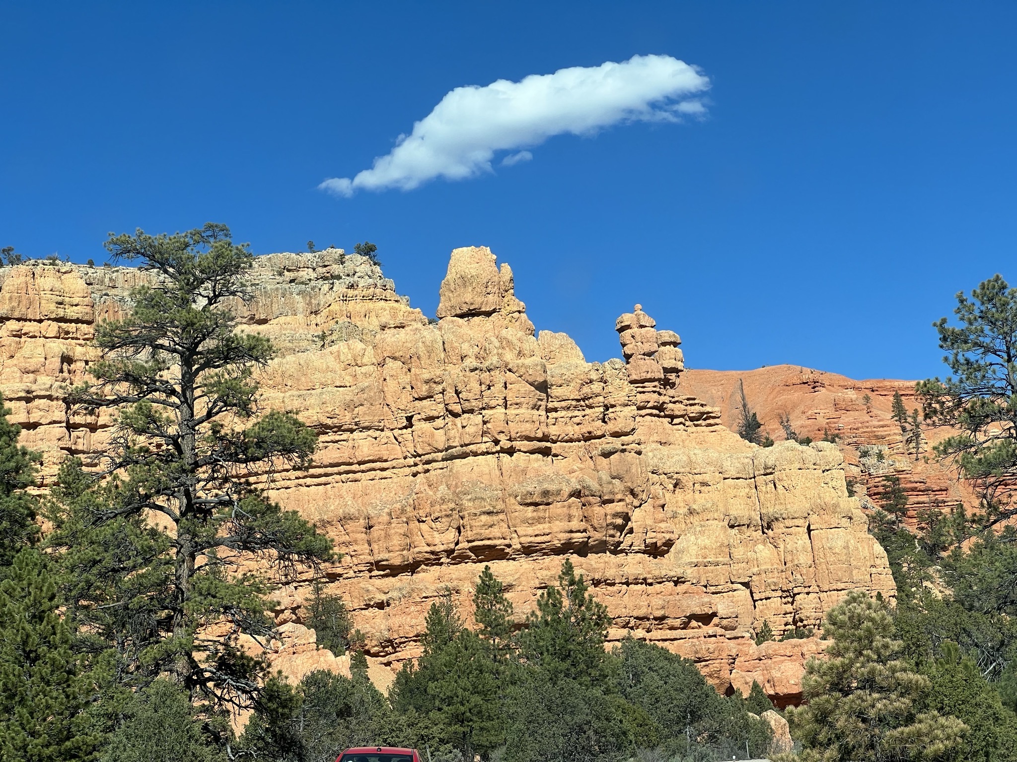 Red Canyon