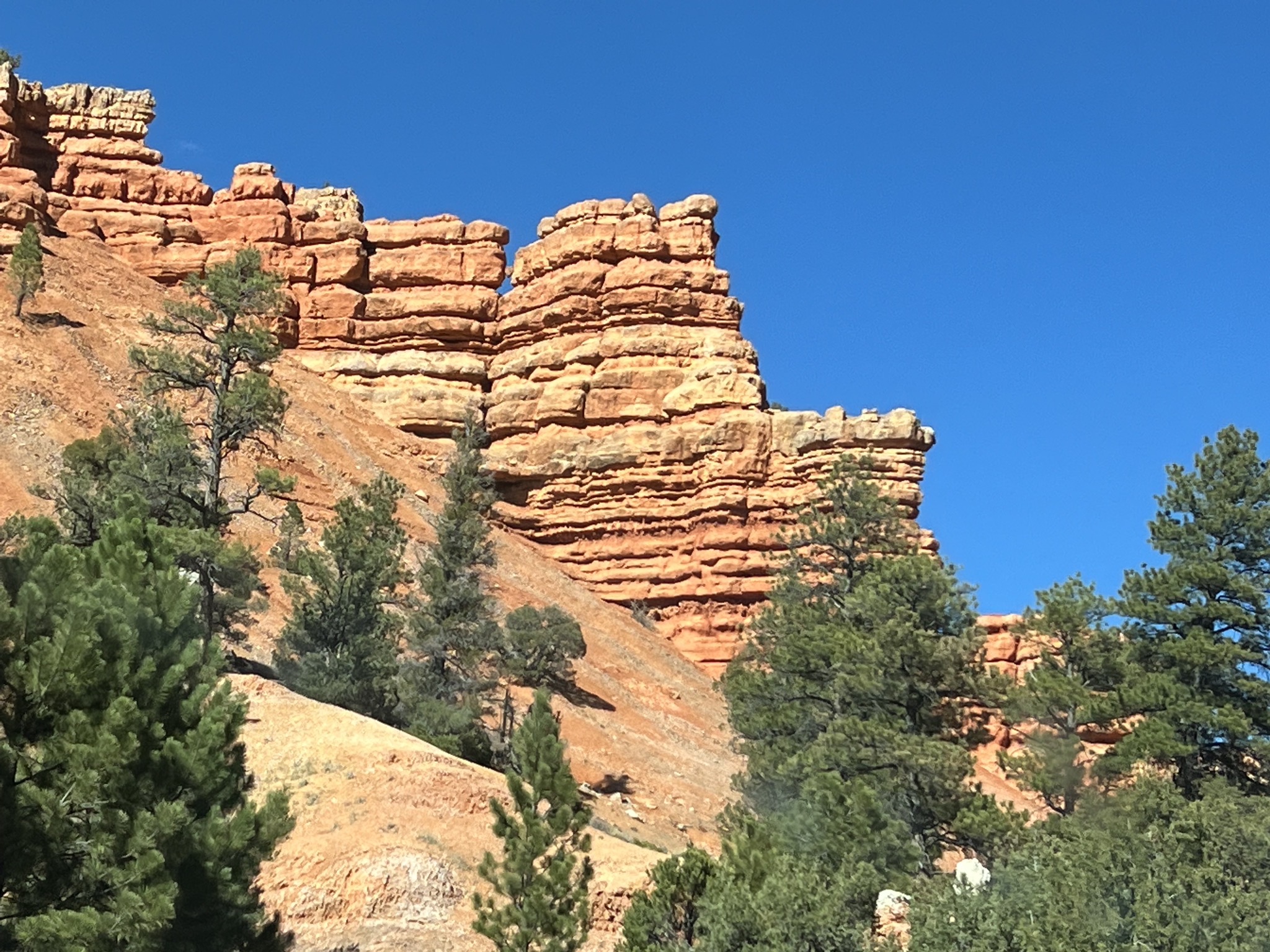 Red Canyon
