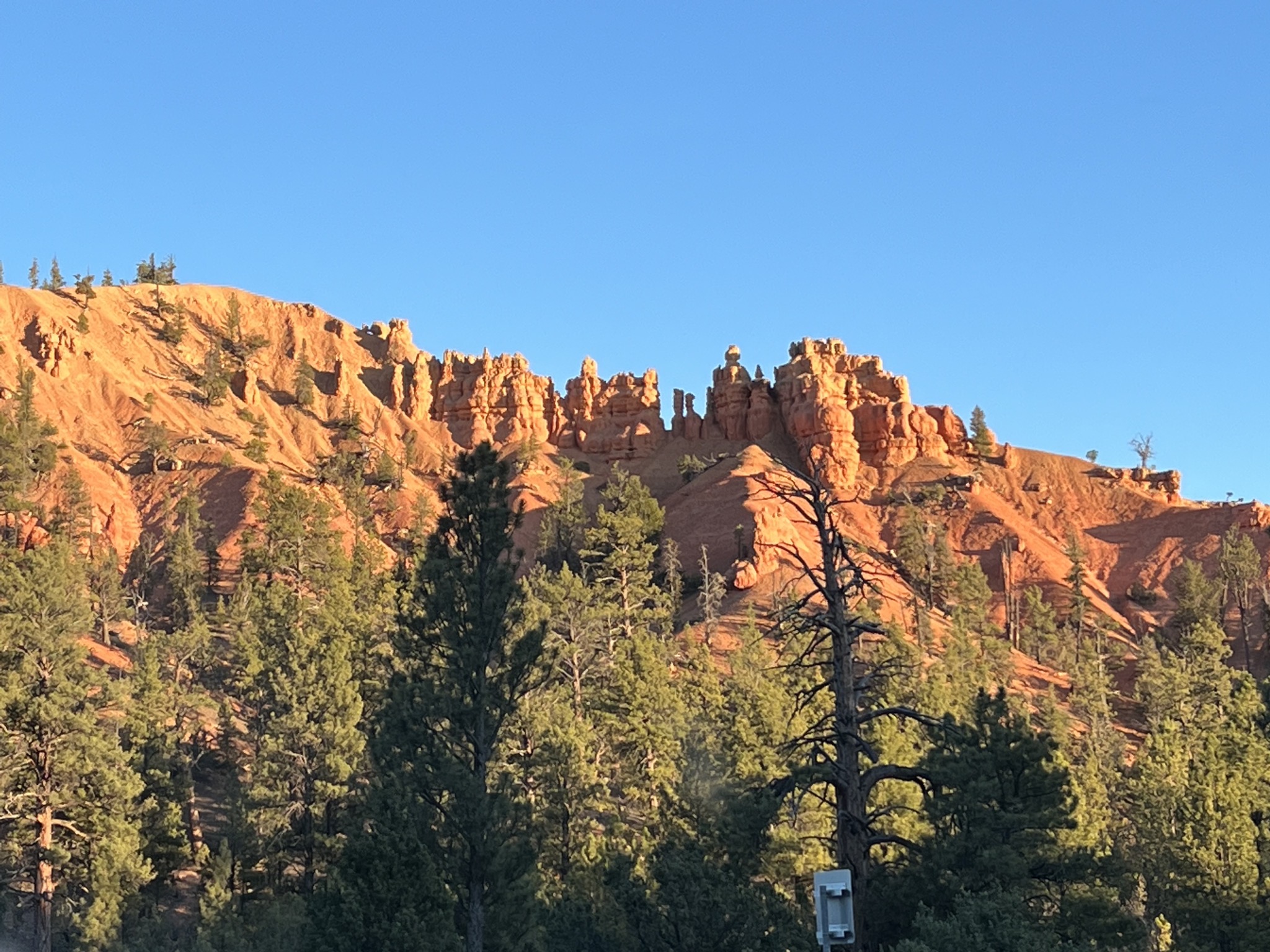 Red Canyon