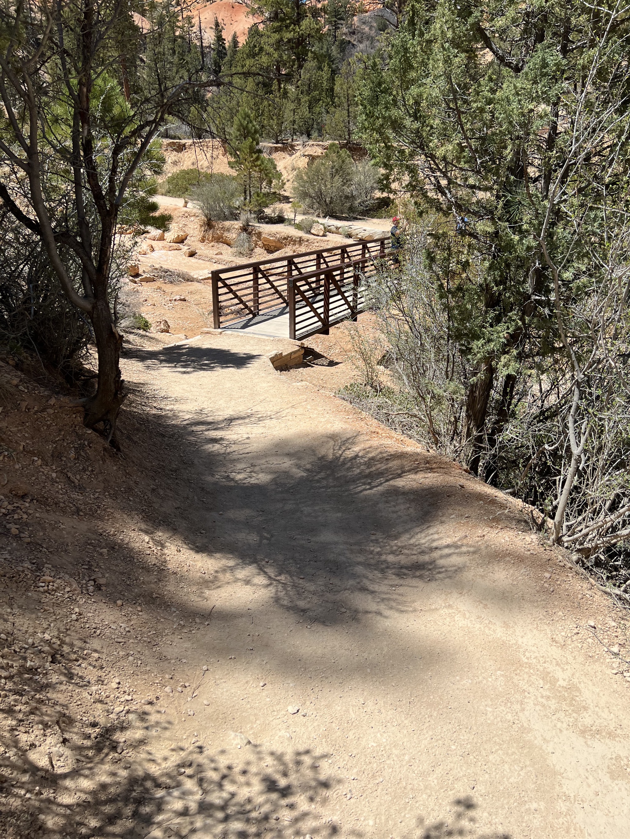 Bridge