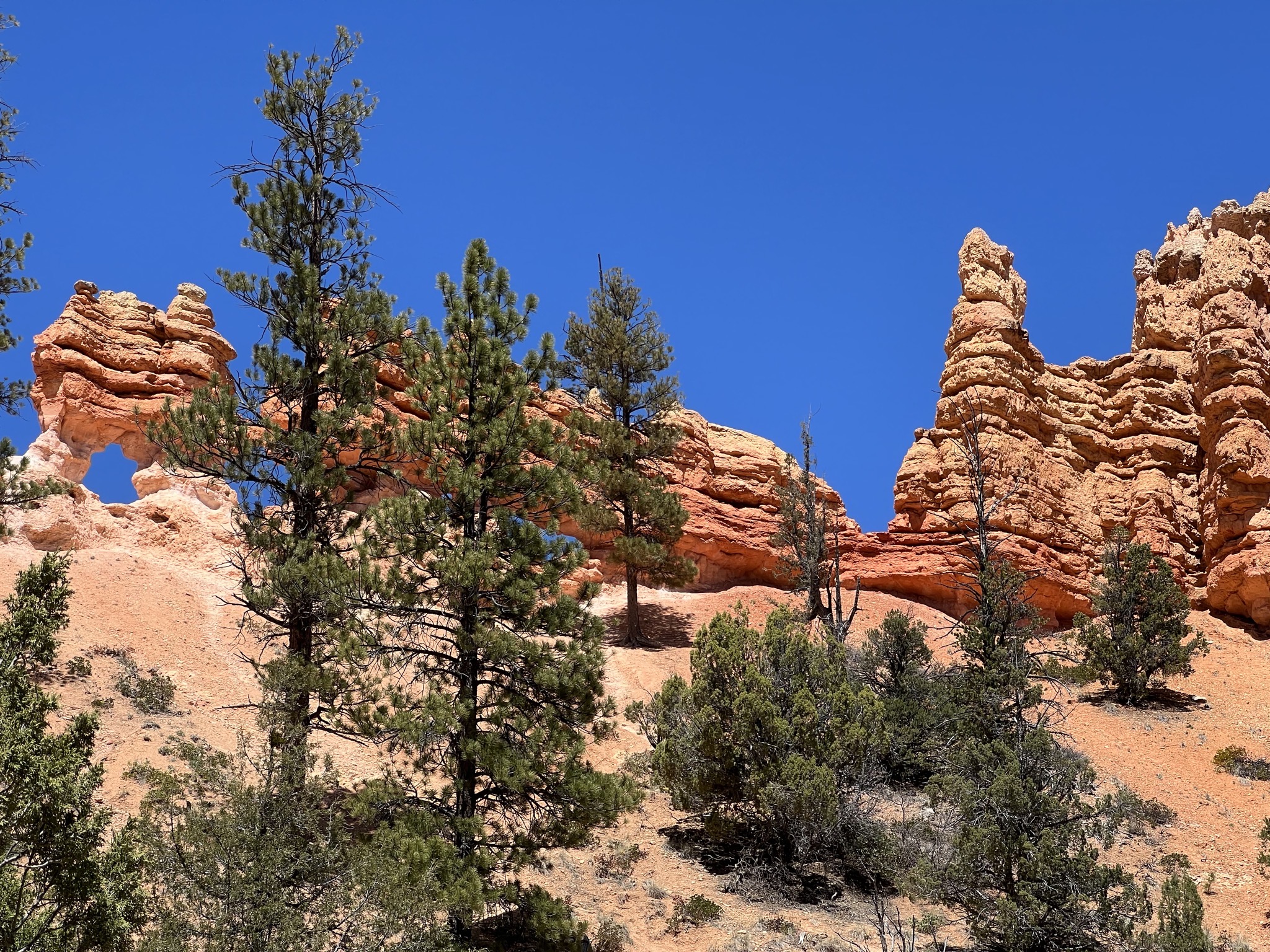 Rocks