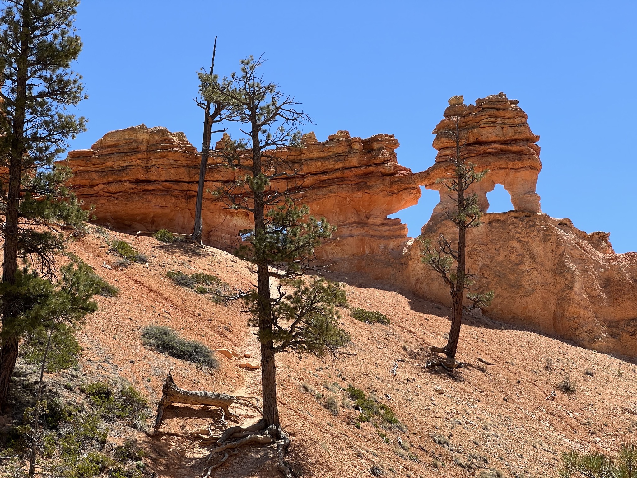 Rocks