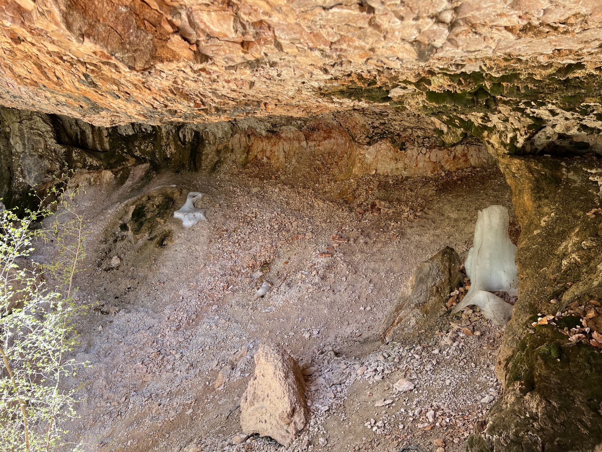Mossy Cave