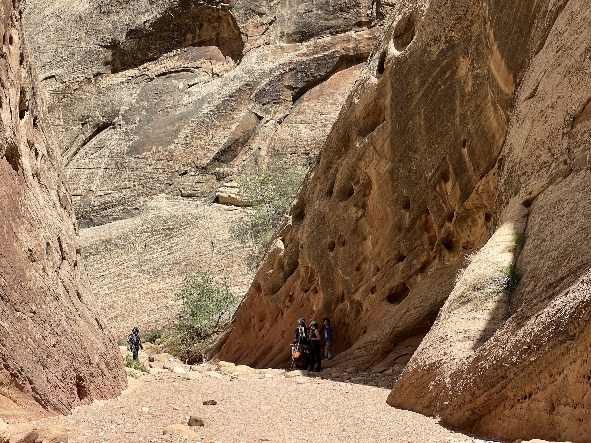 Rocks