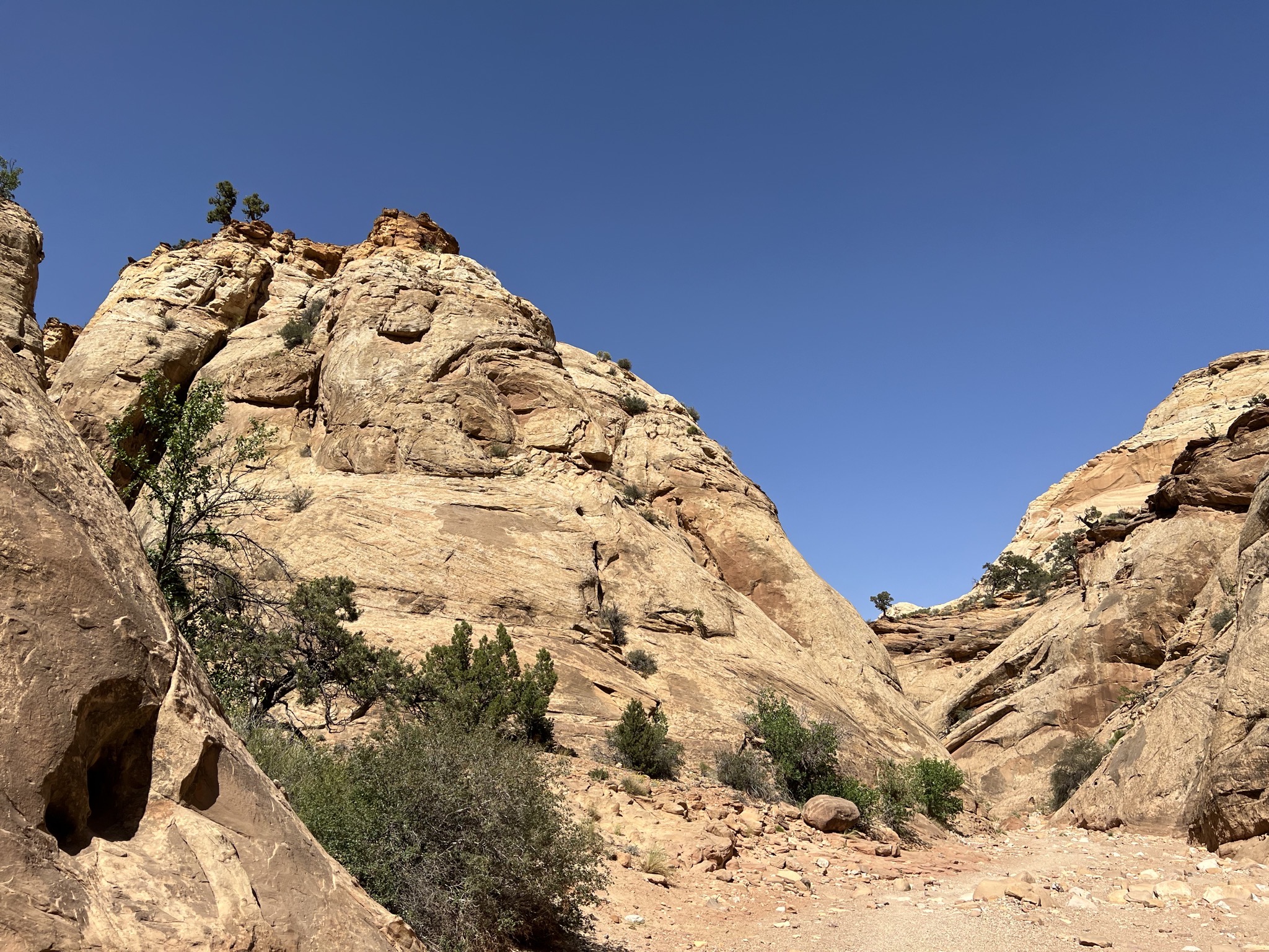 Rocks