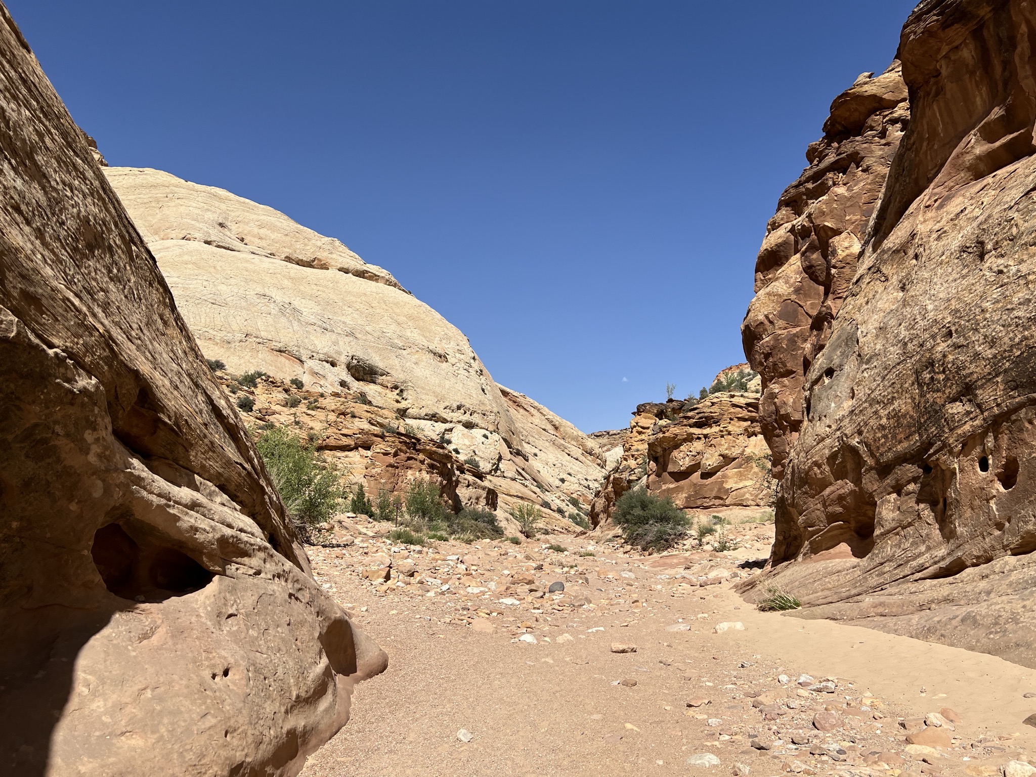 Rocks