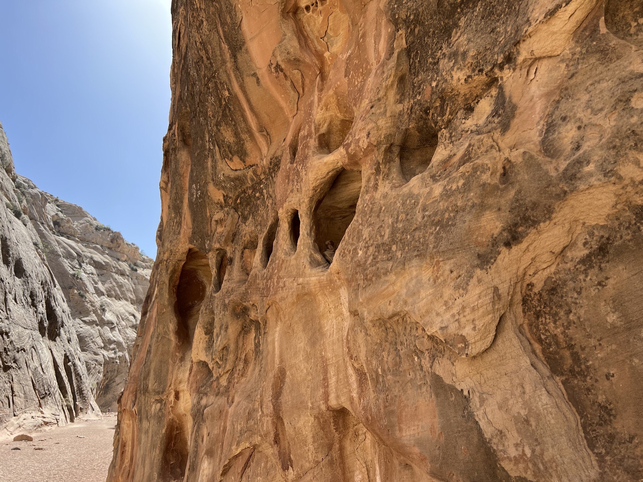 Rocks