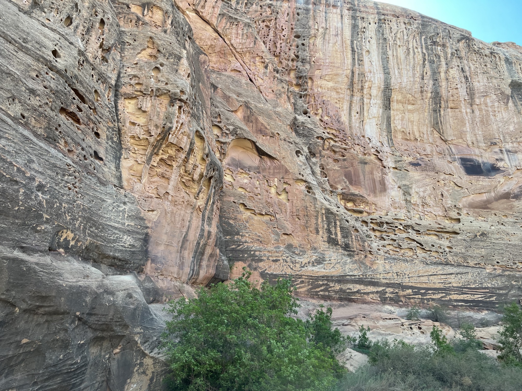 Rocks