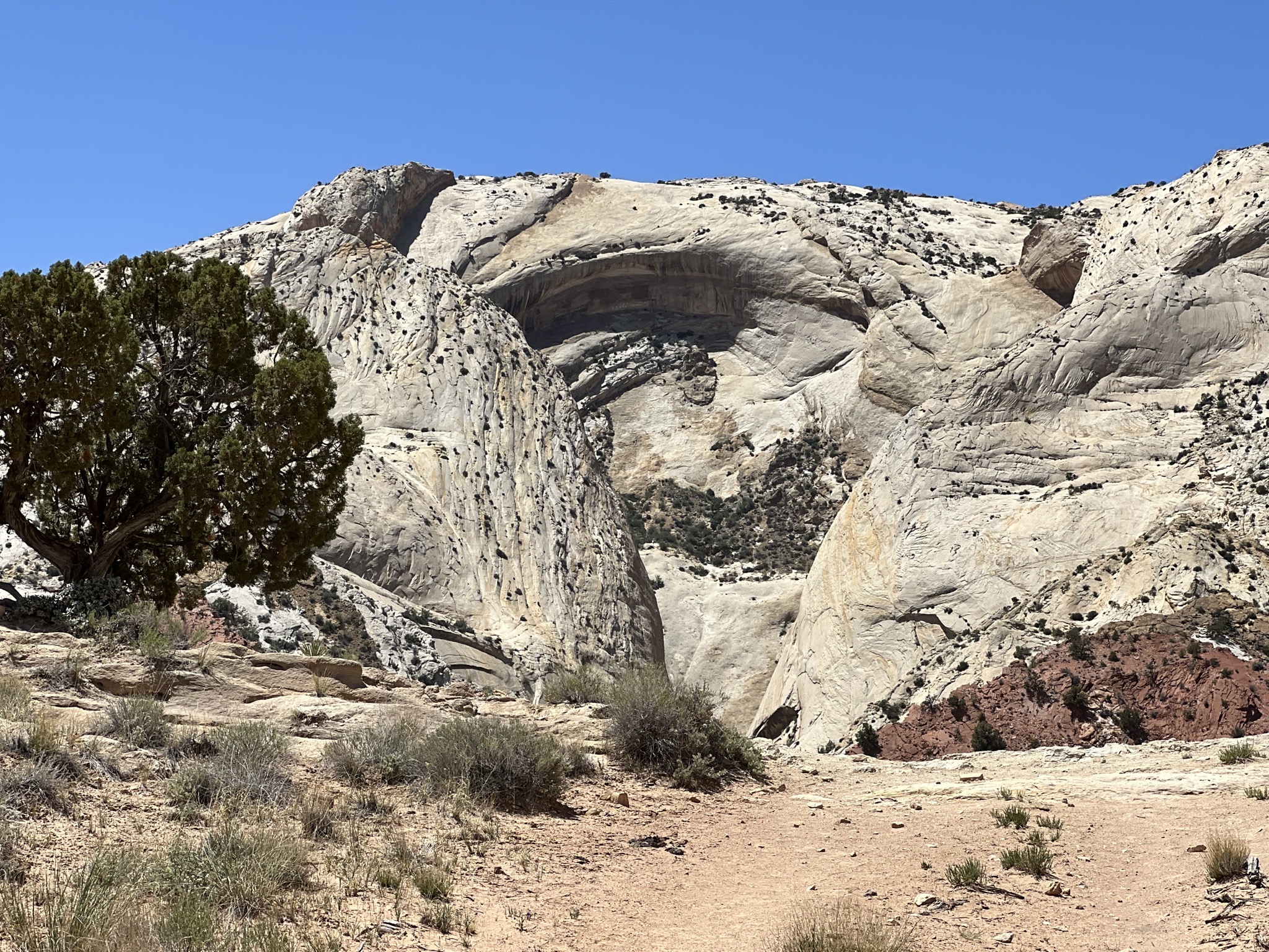 Rocks