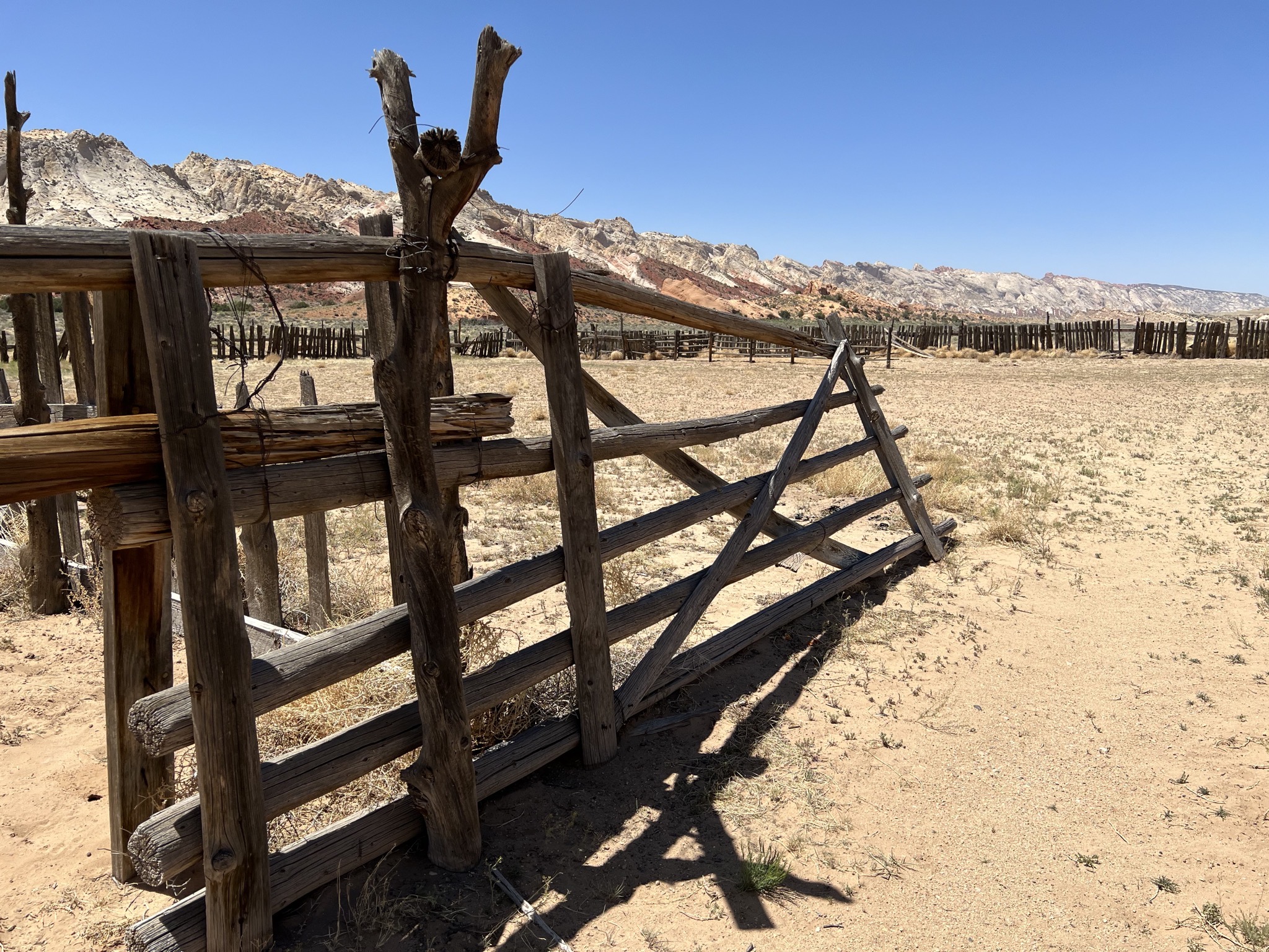 Horse corral