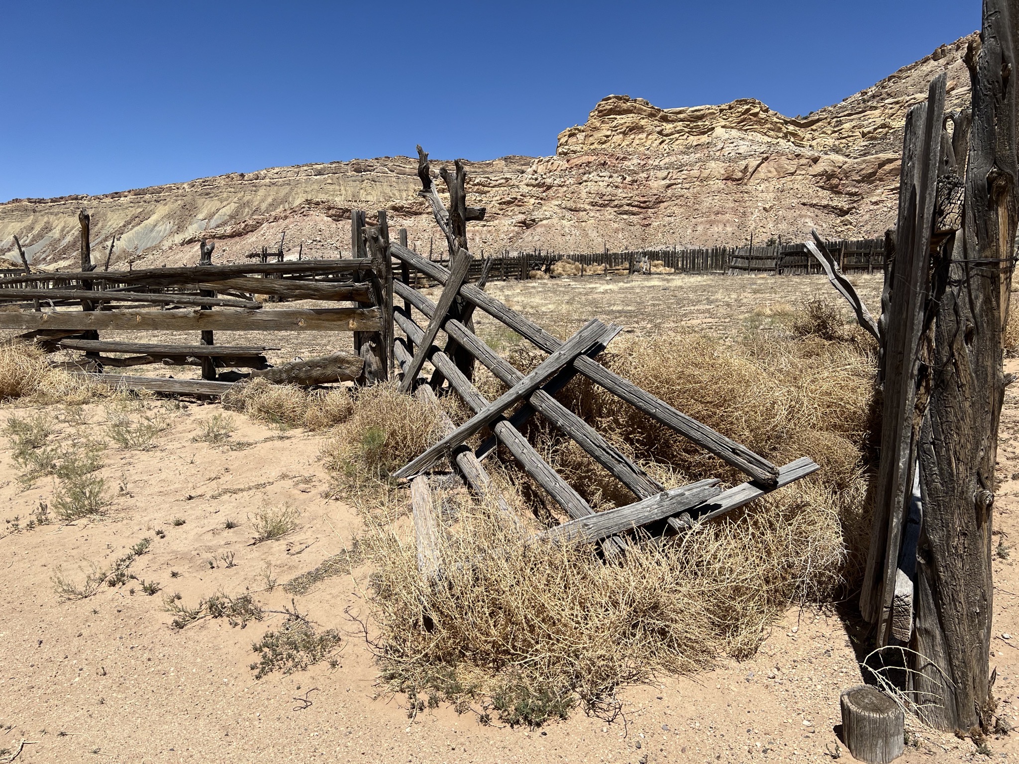 Horse corral