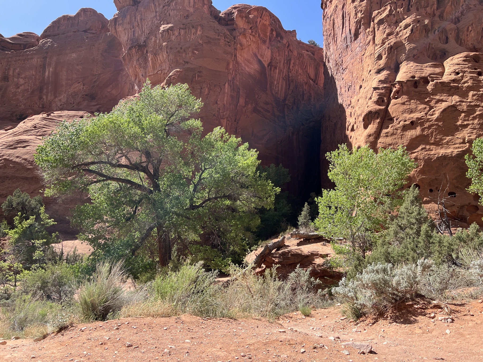 Singing Canyon (26)