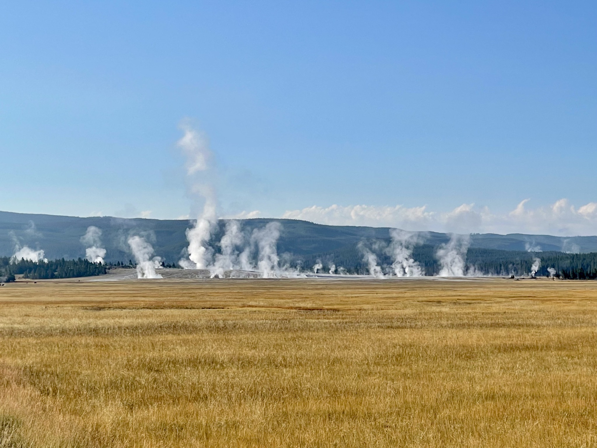 Yellowstone