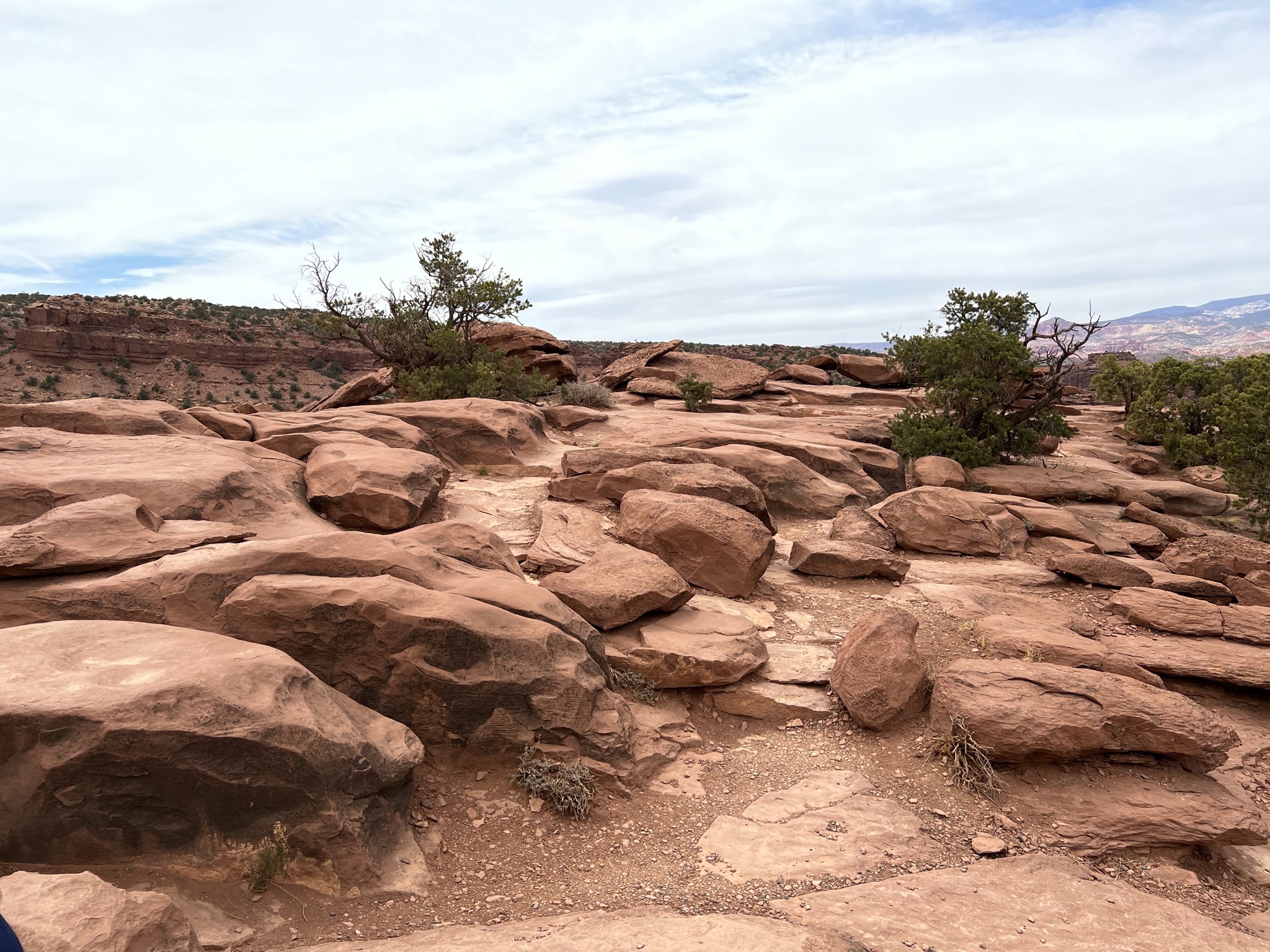 Goosenecks Point