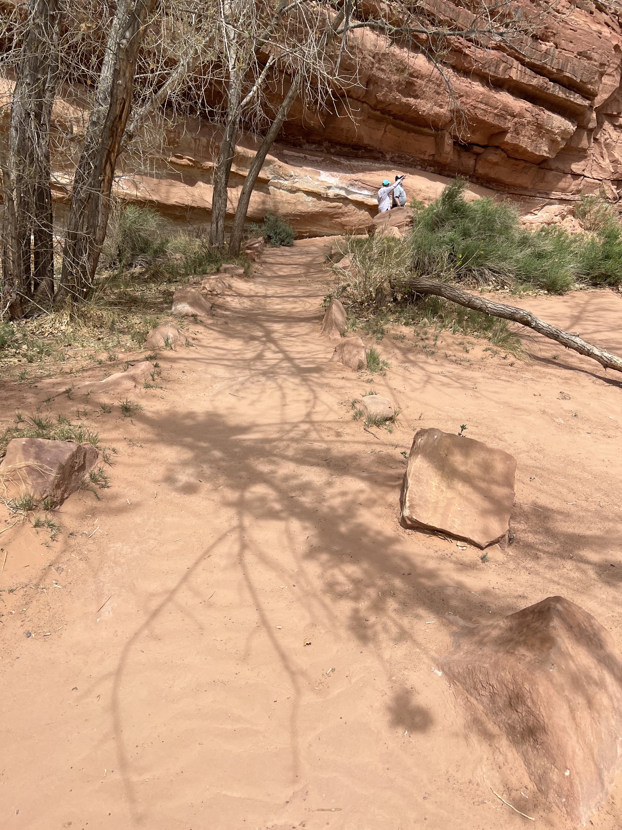 Hickman Bridge trail