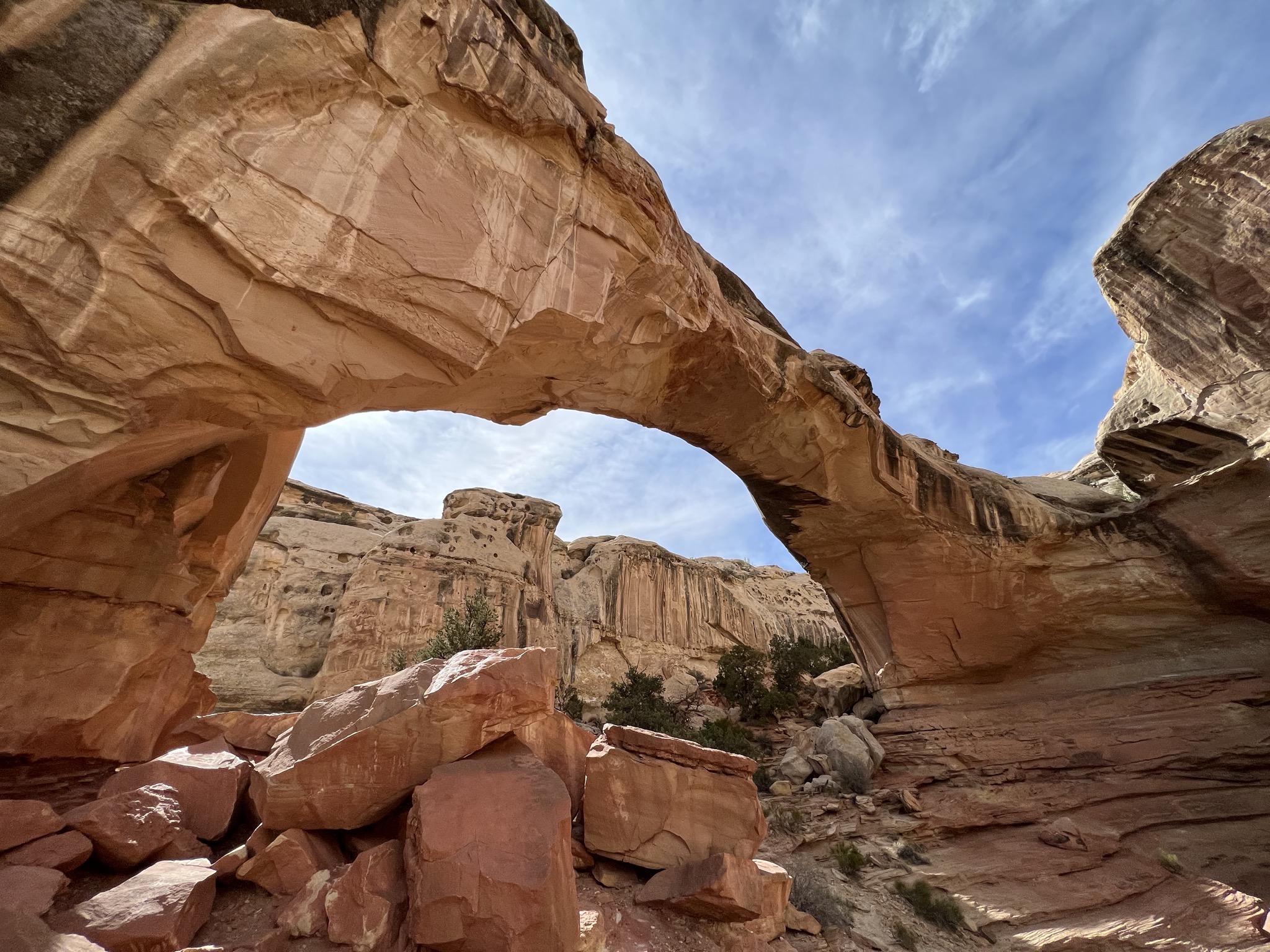 Hickman Bridge trail