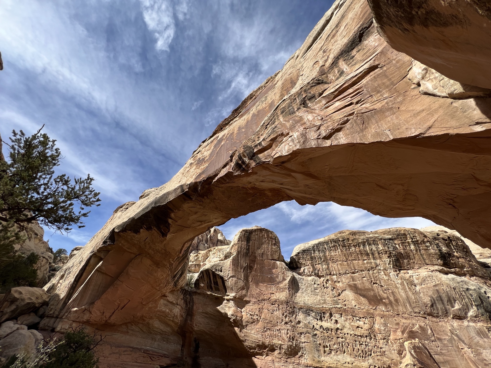 Hickman Bridge trail