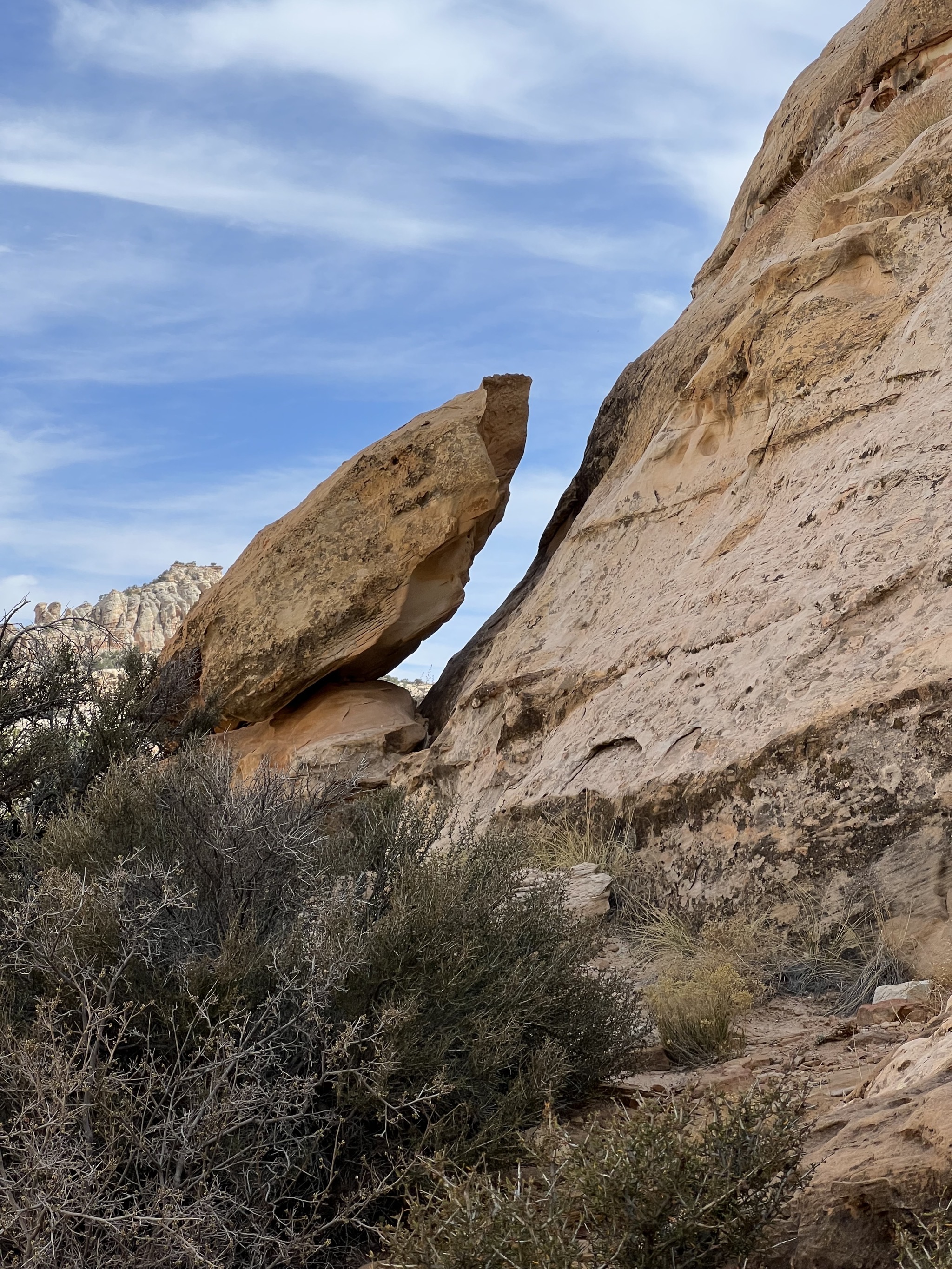 Hickman Bridge trail