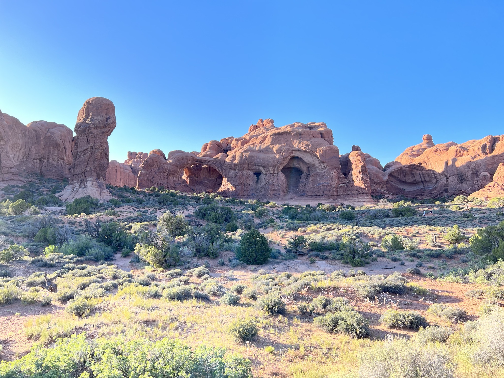 Arches