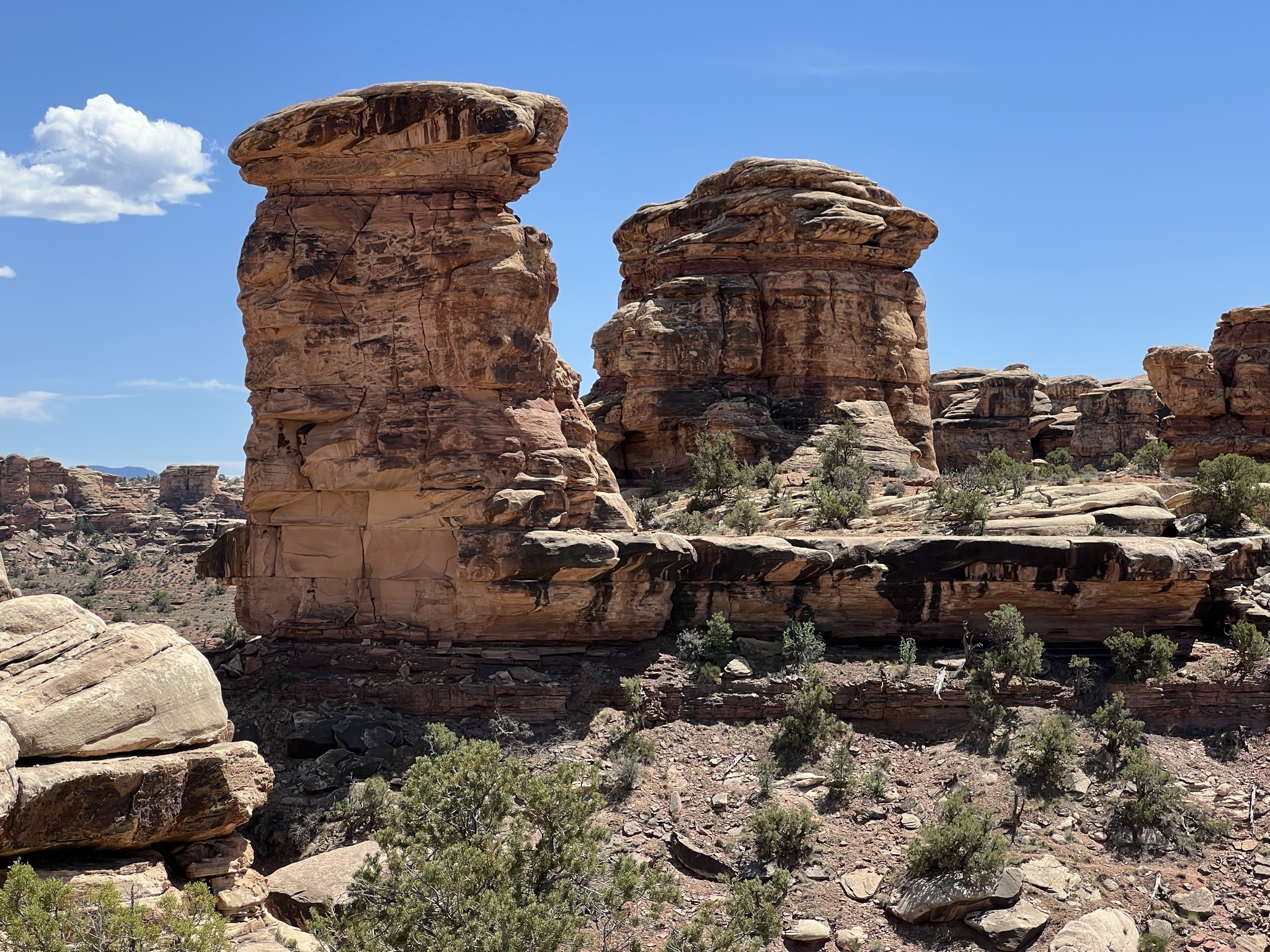 Rocks