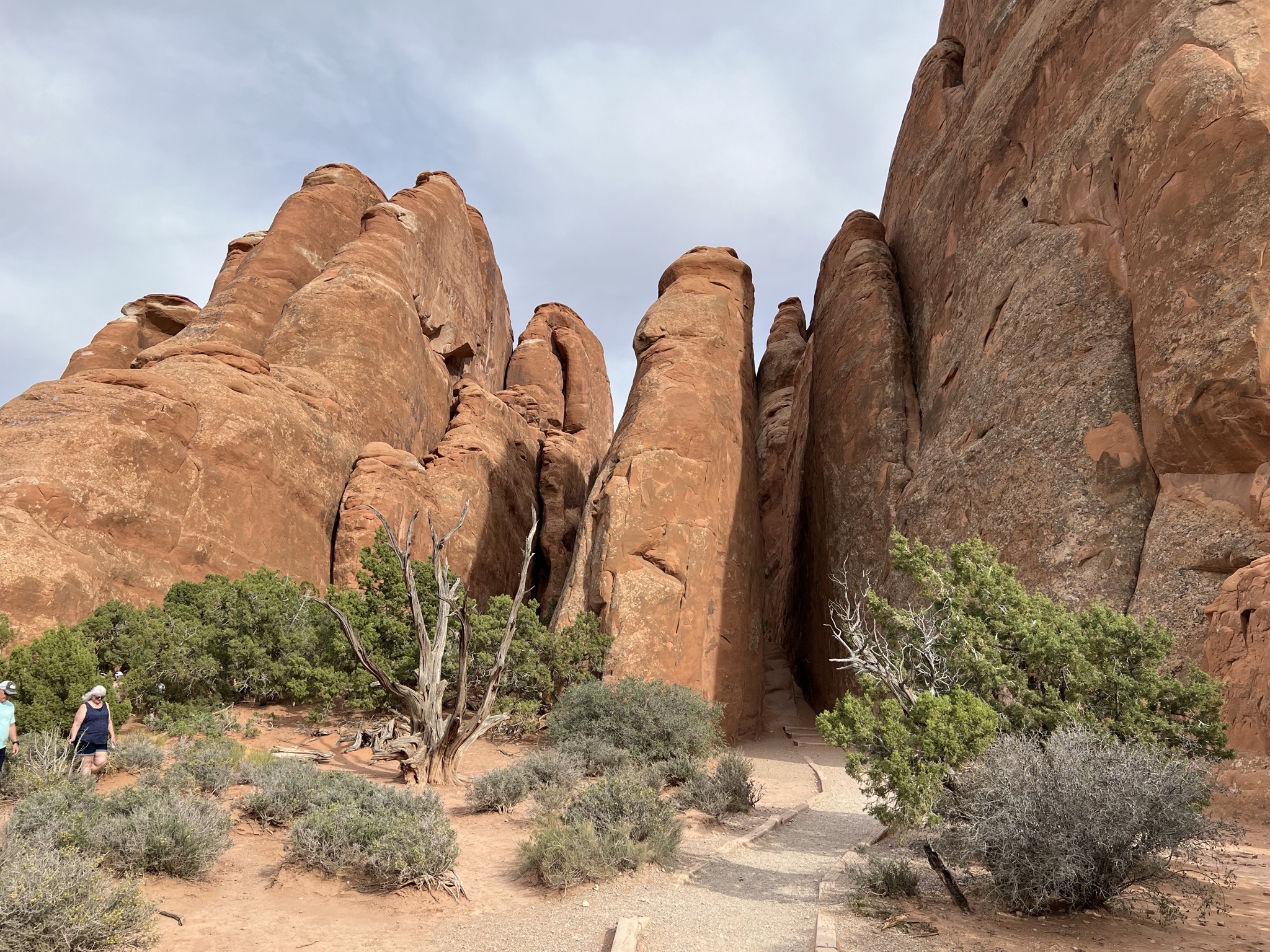 Rocks