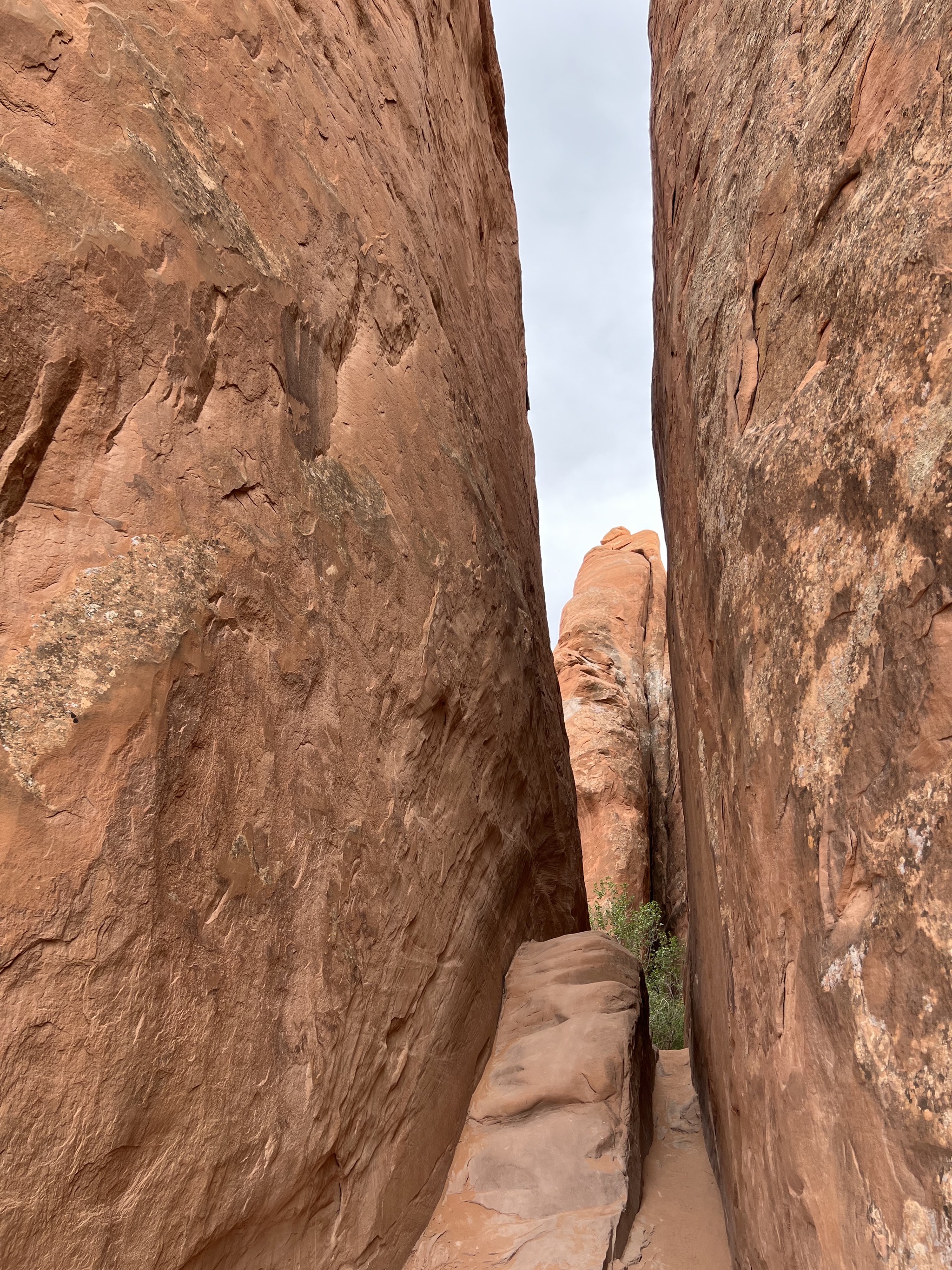 Rocks
