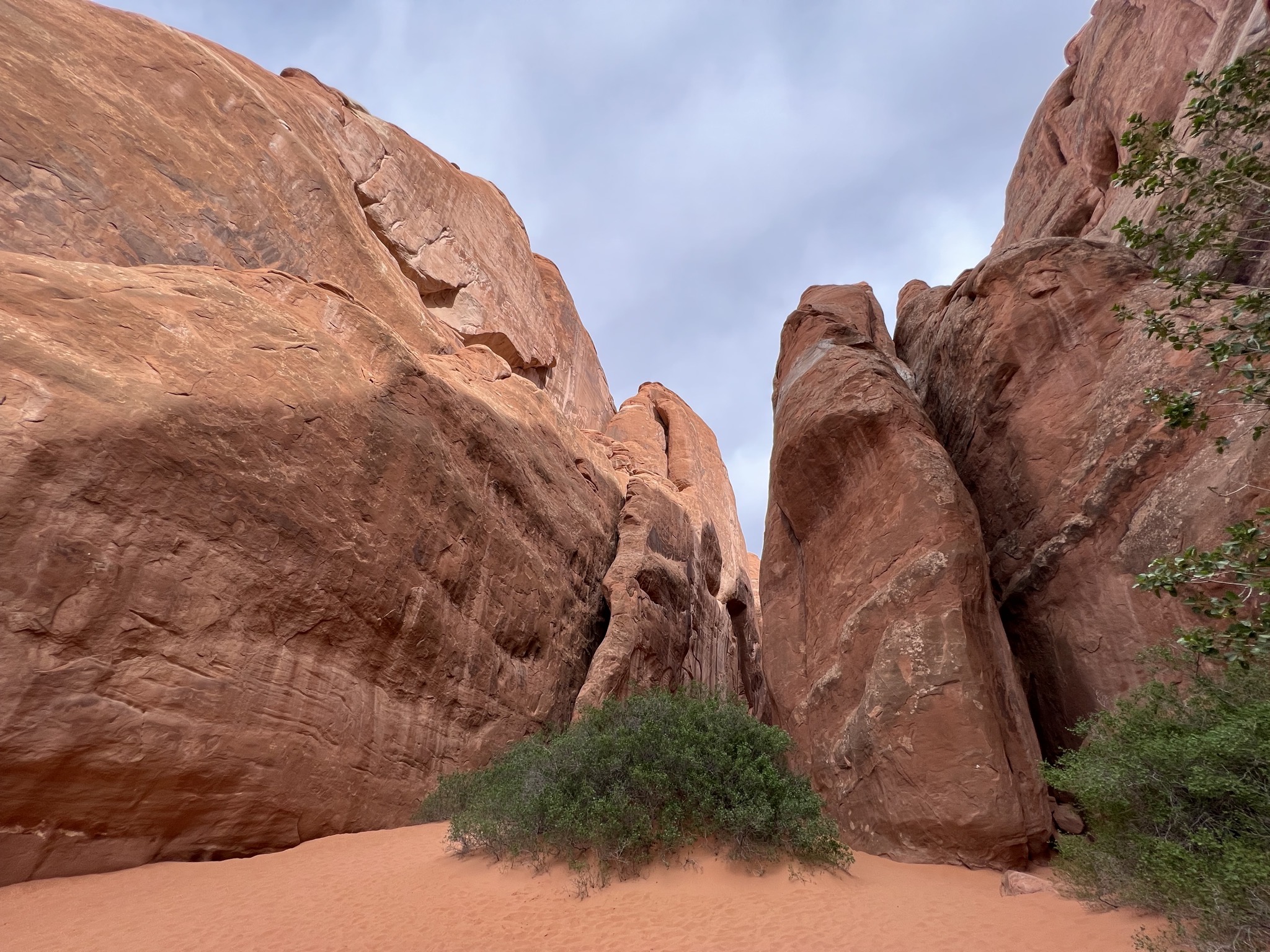 Rocks