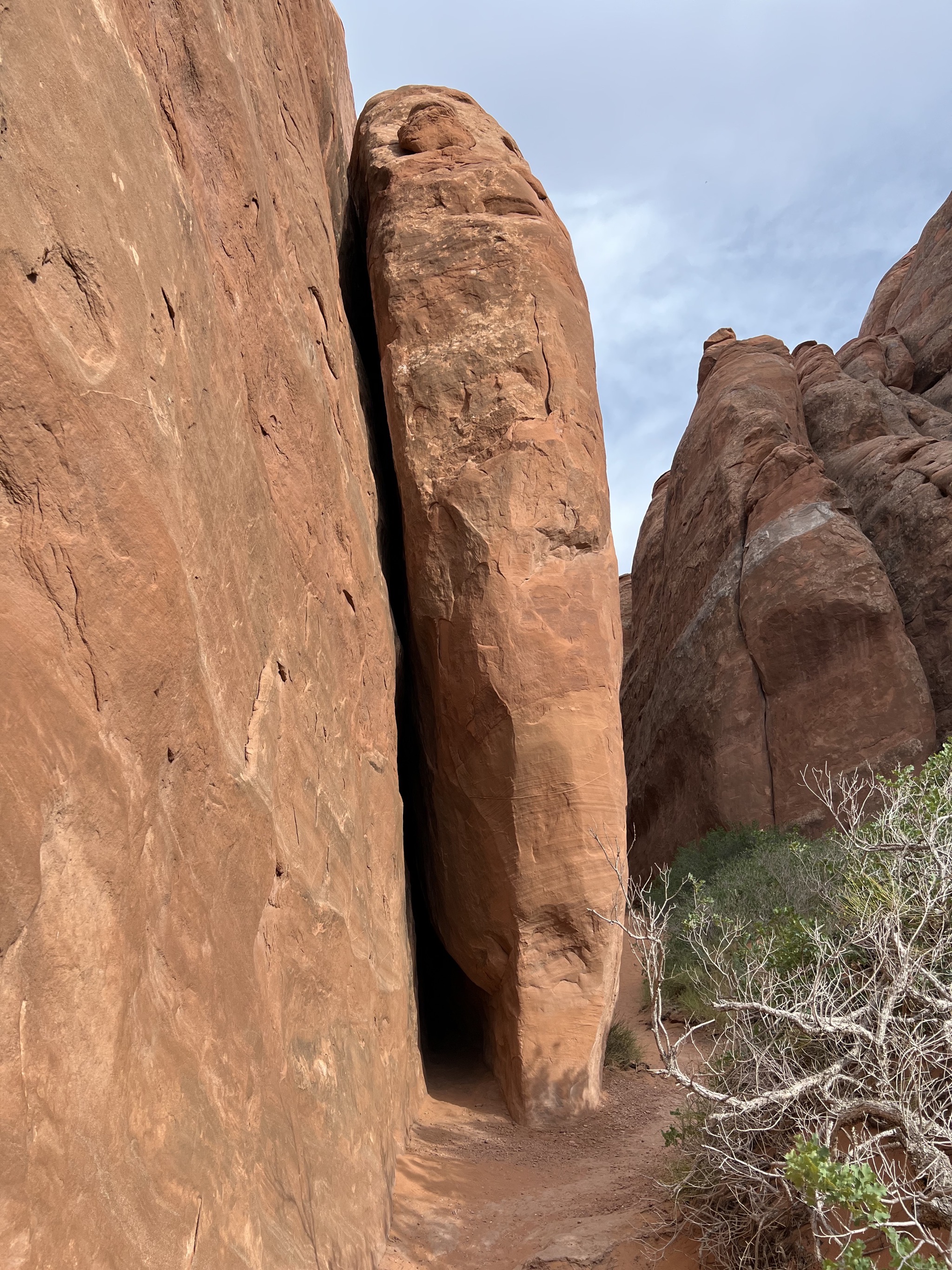 Rocks