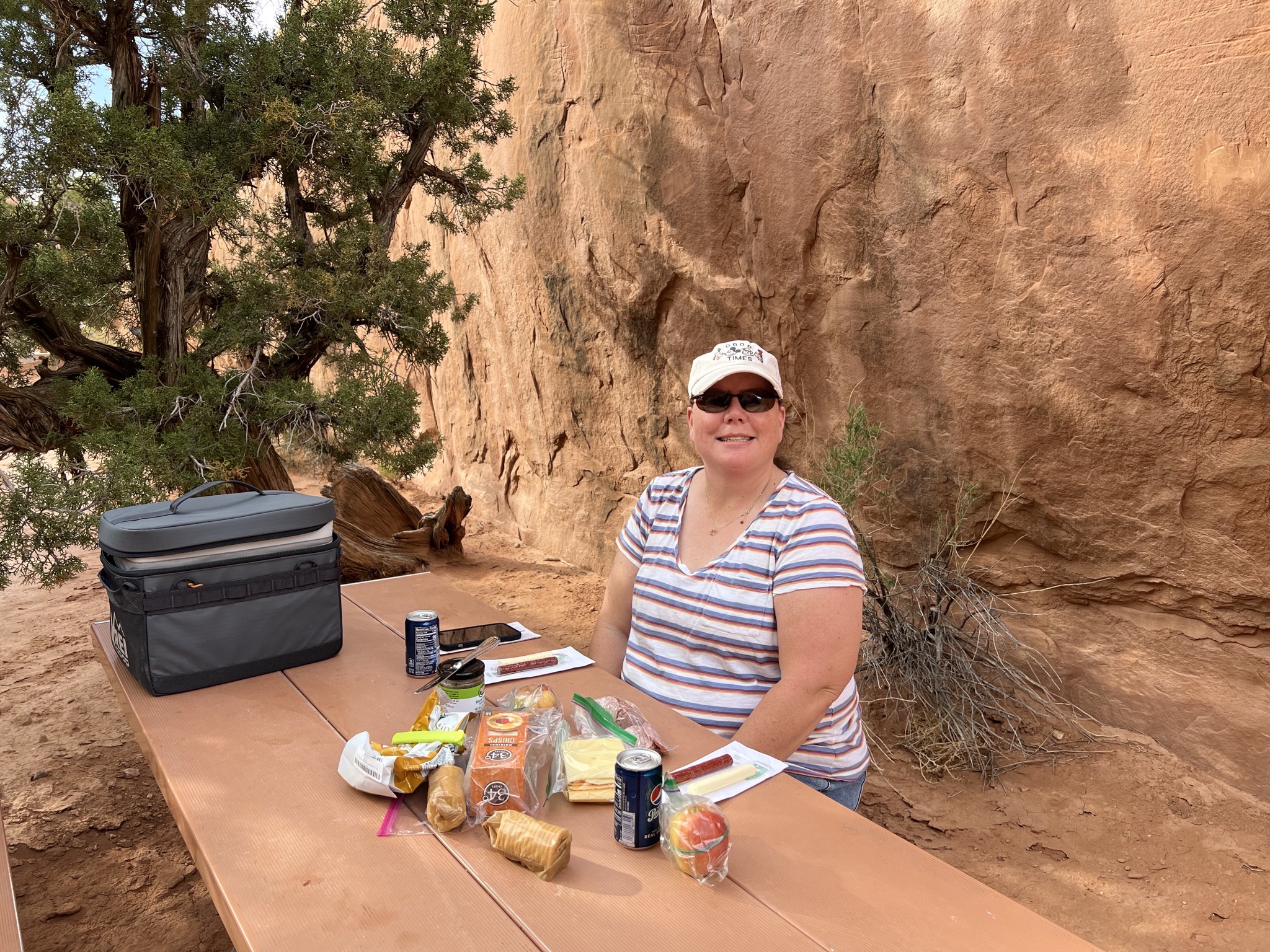 Picnic dinner