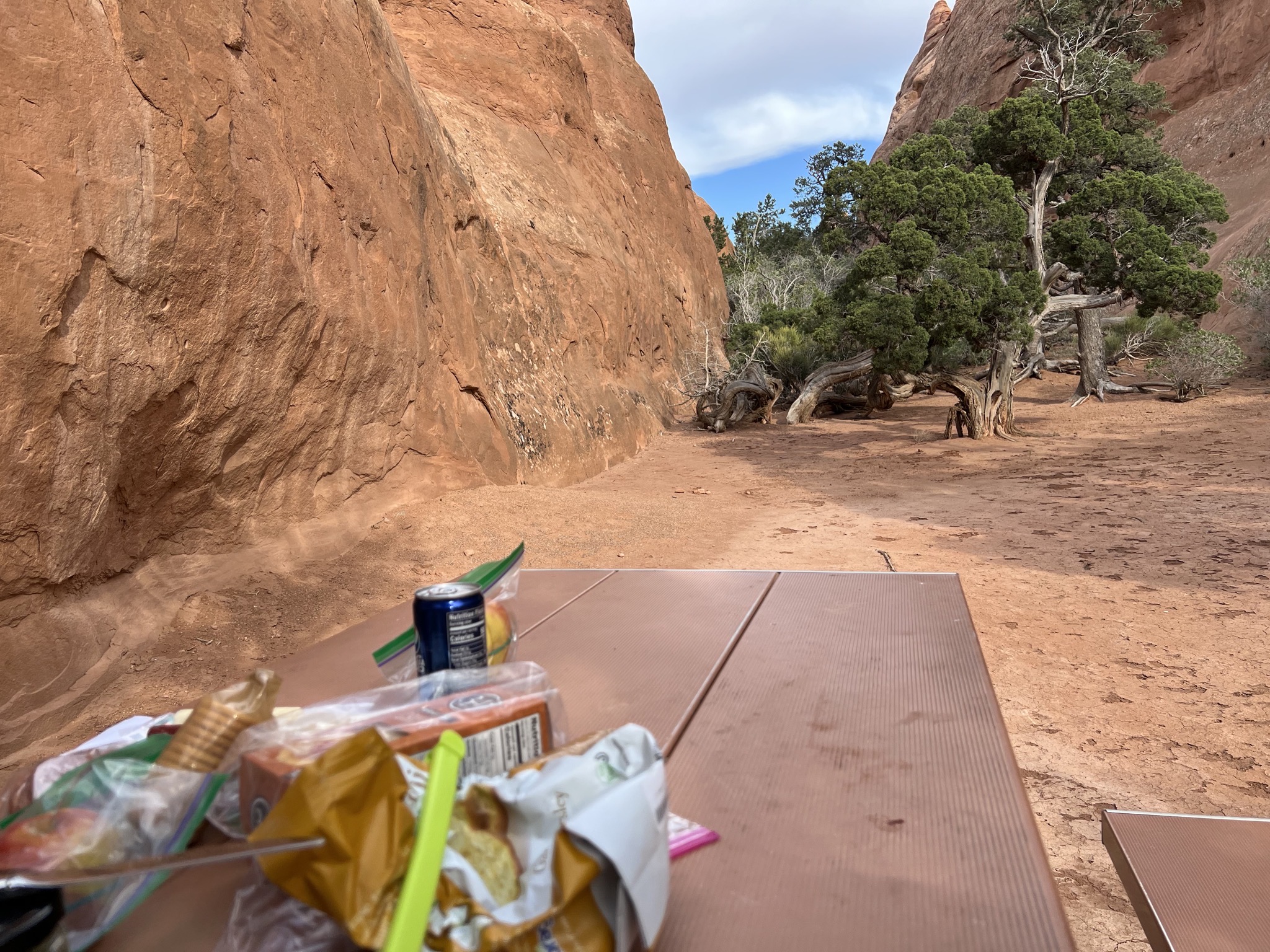 Picnic dinner