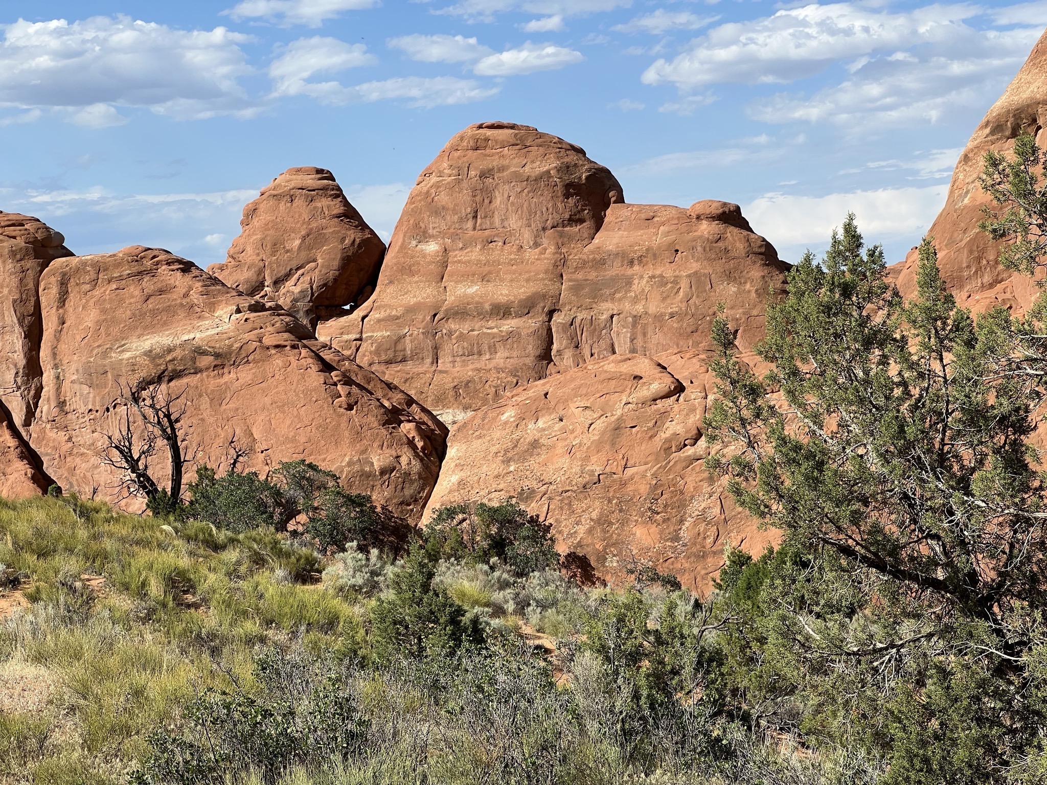 Rocks