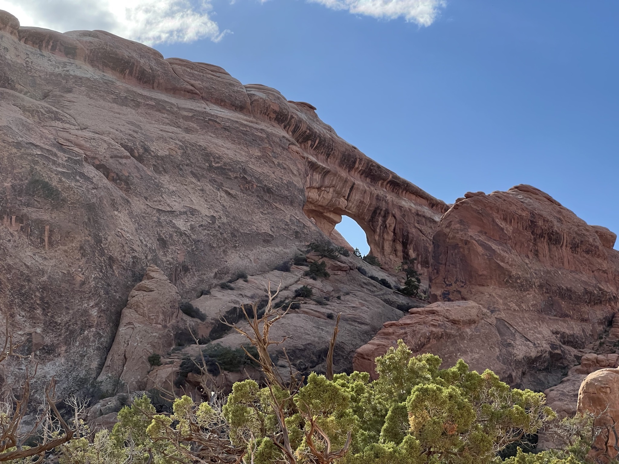 Arch
