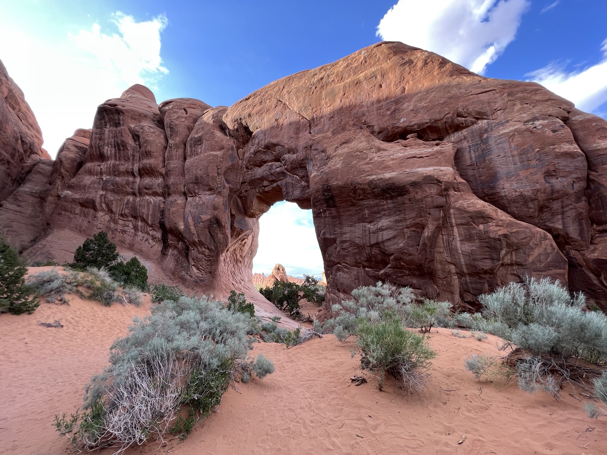 Pine Tree arch