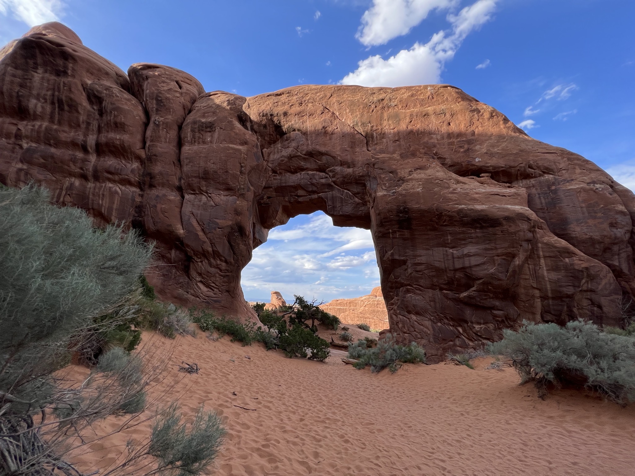 Pine Tree arch
