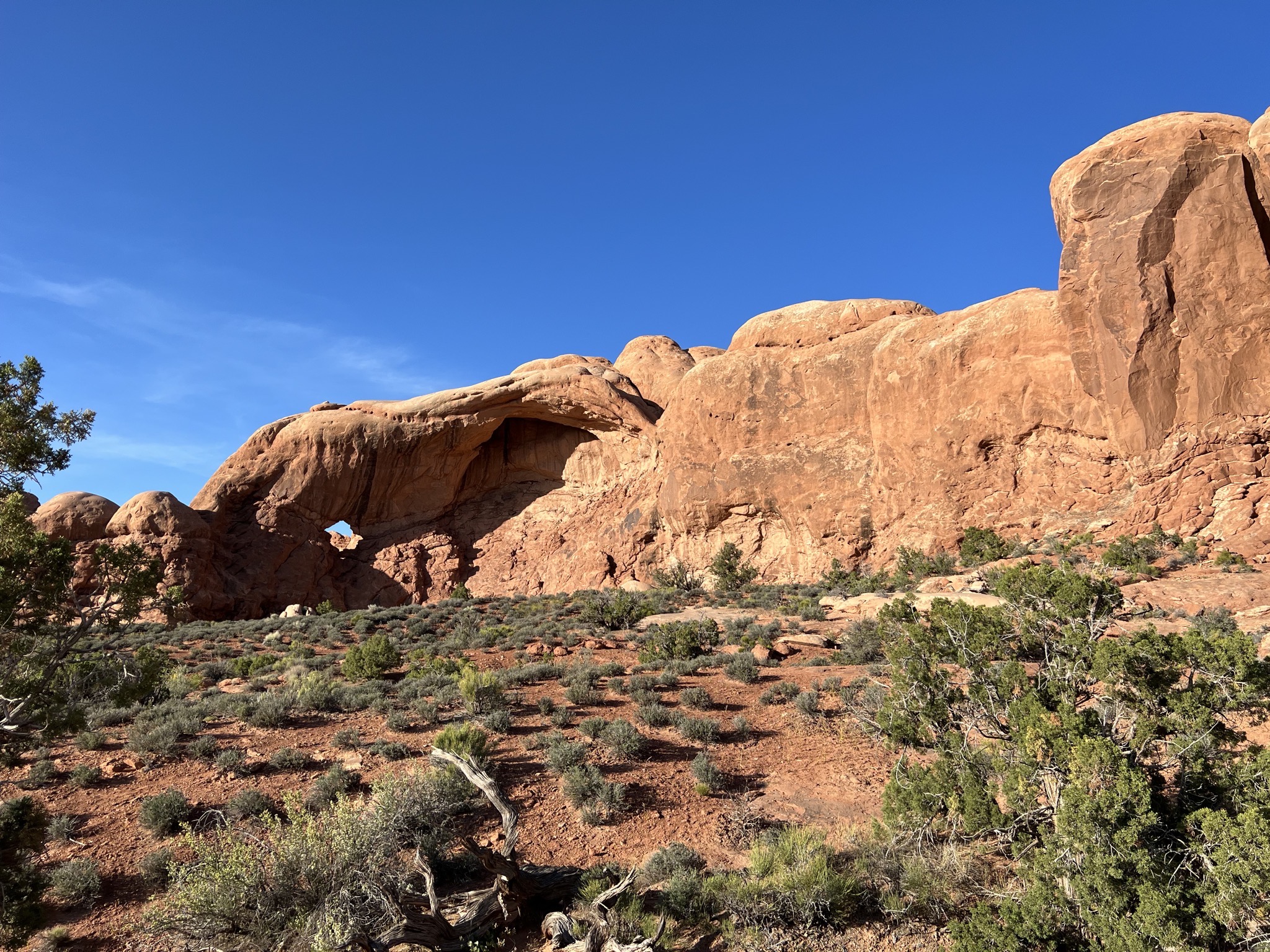 Small arch