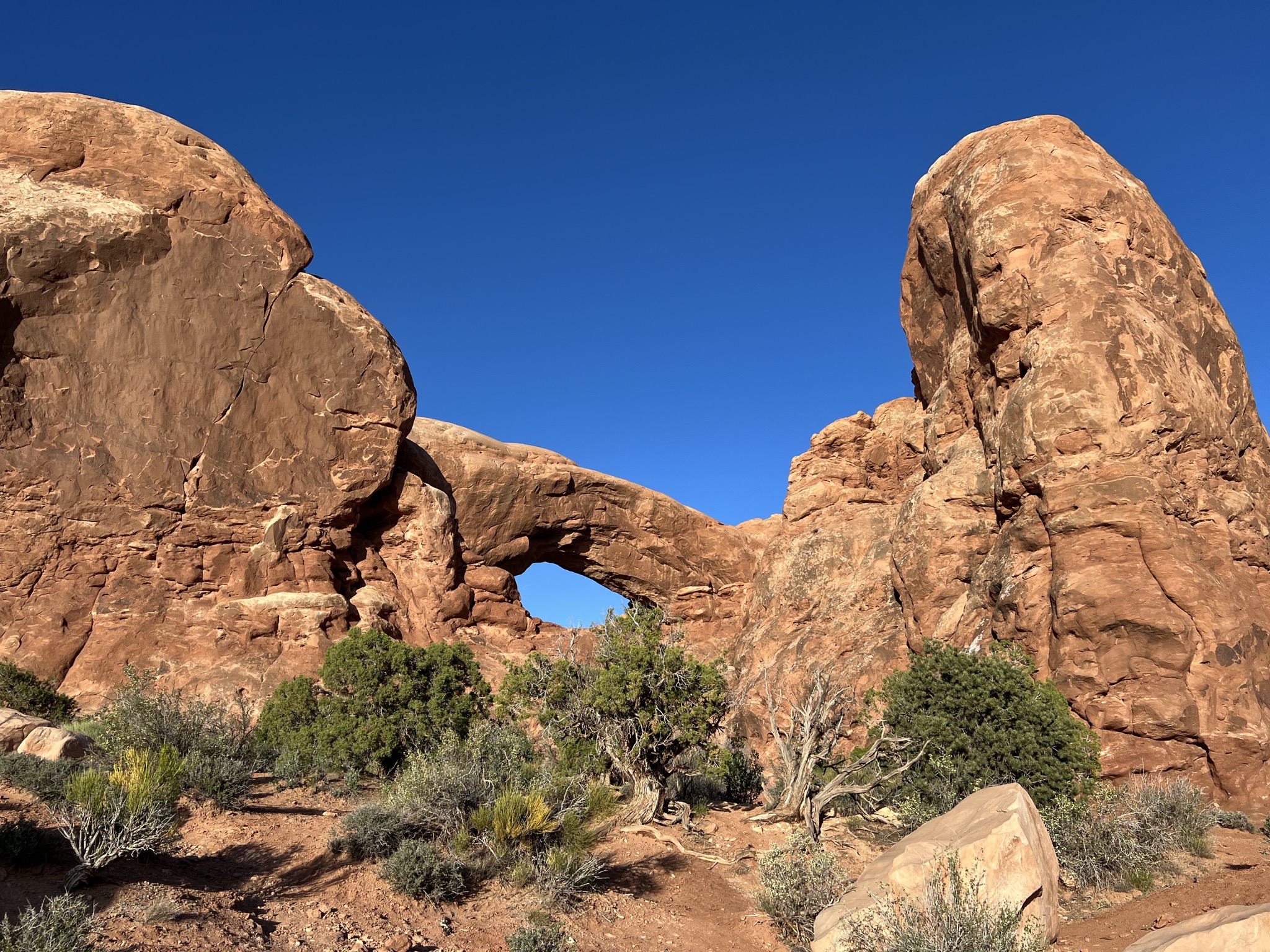South Window Arch