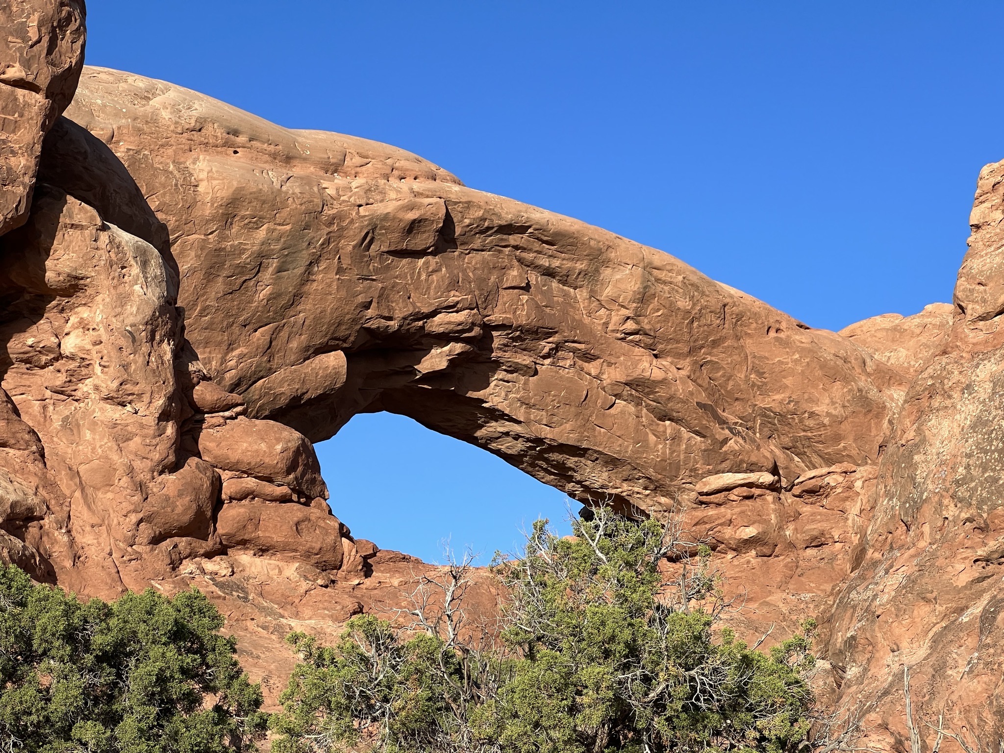 South Window Arch