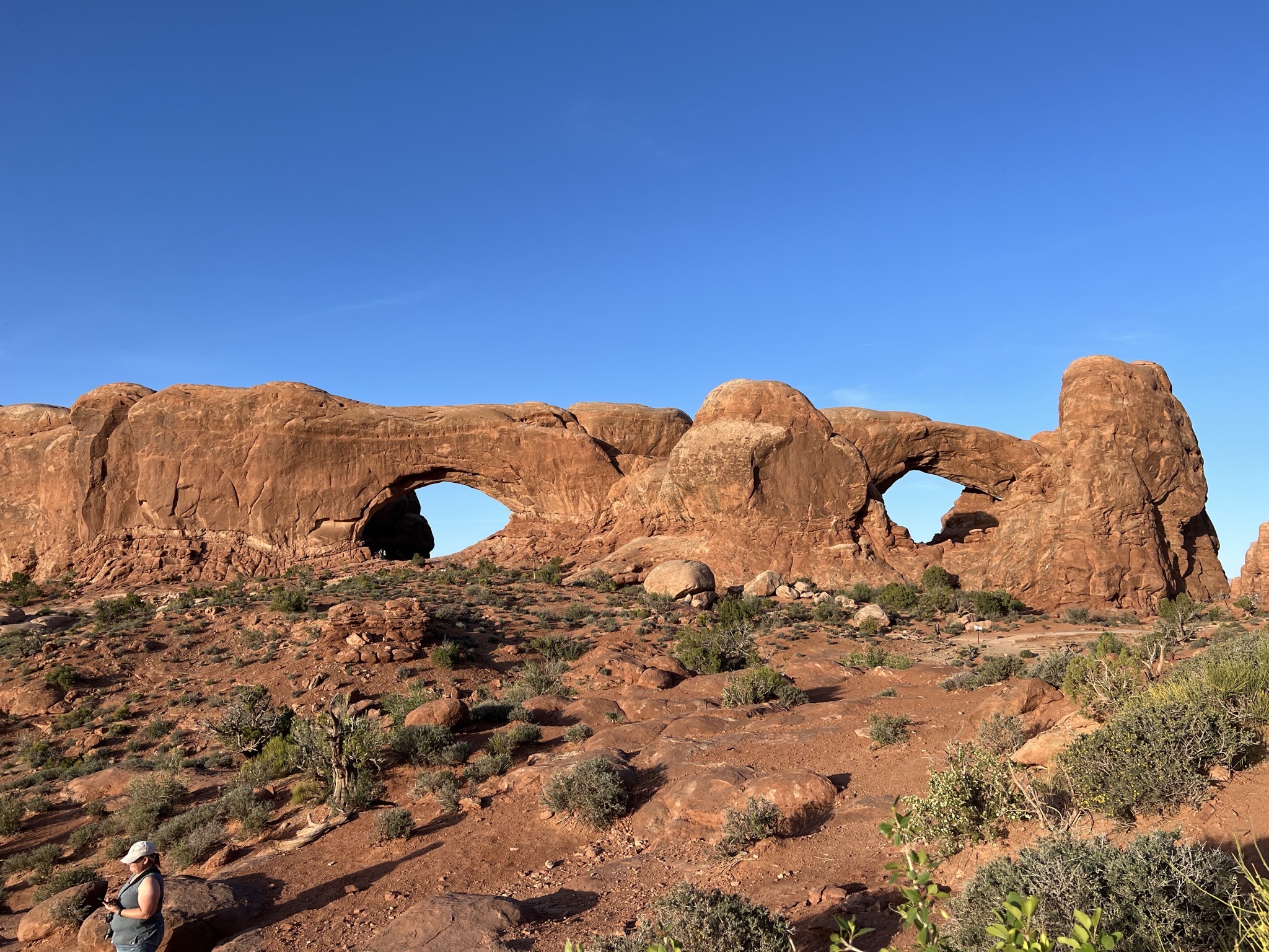 North and South Window Arches