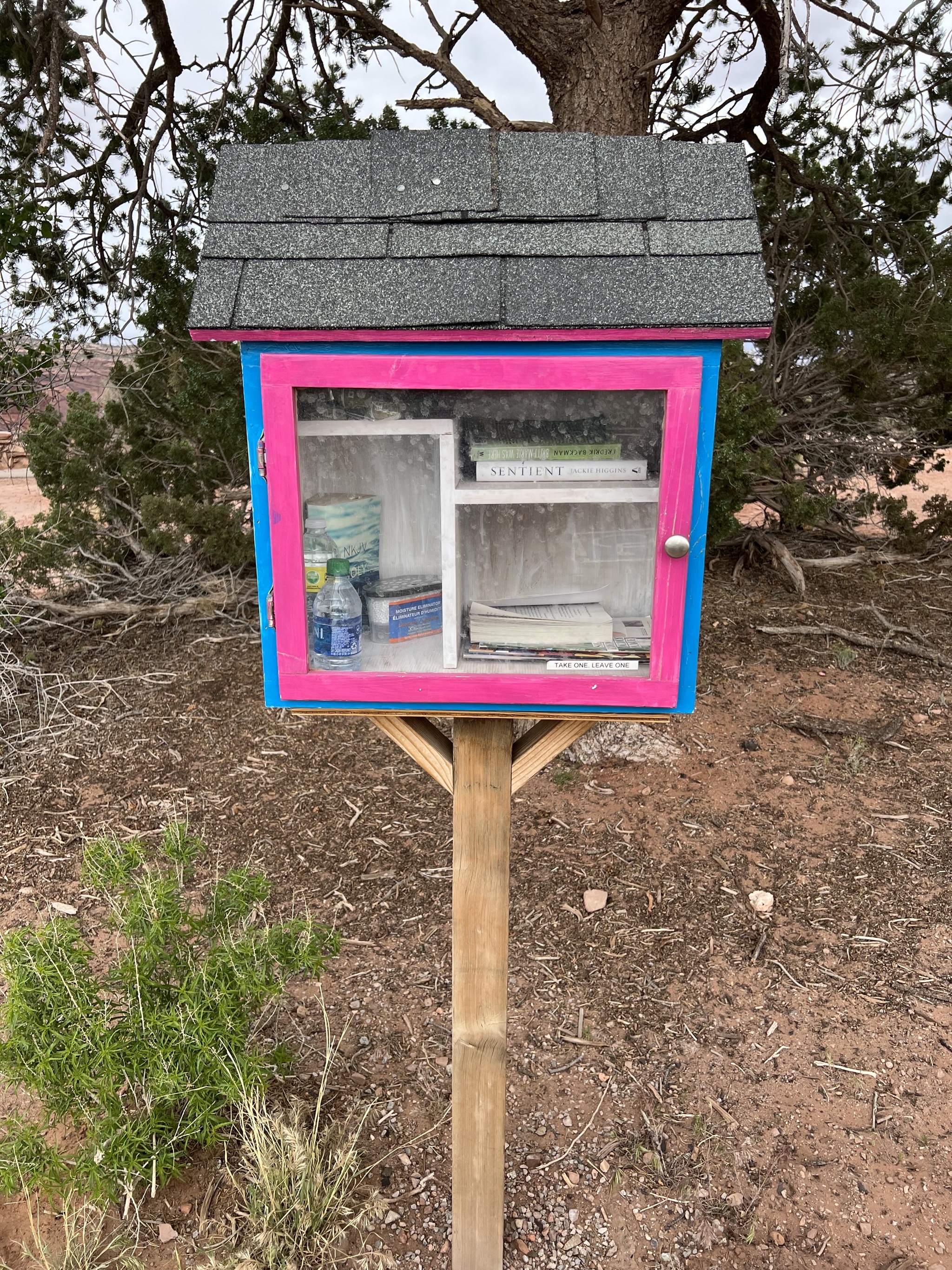Little lending library