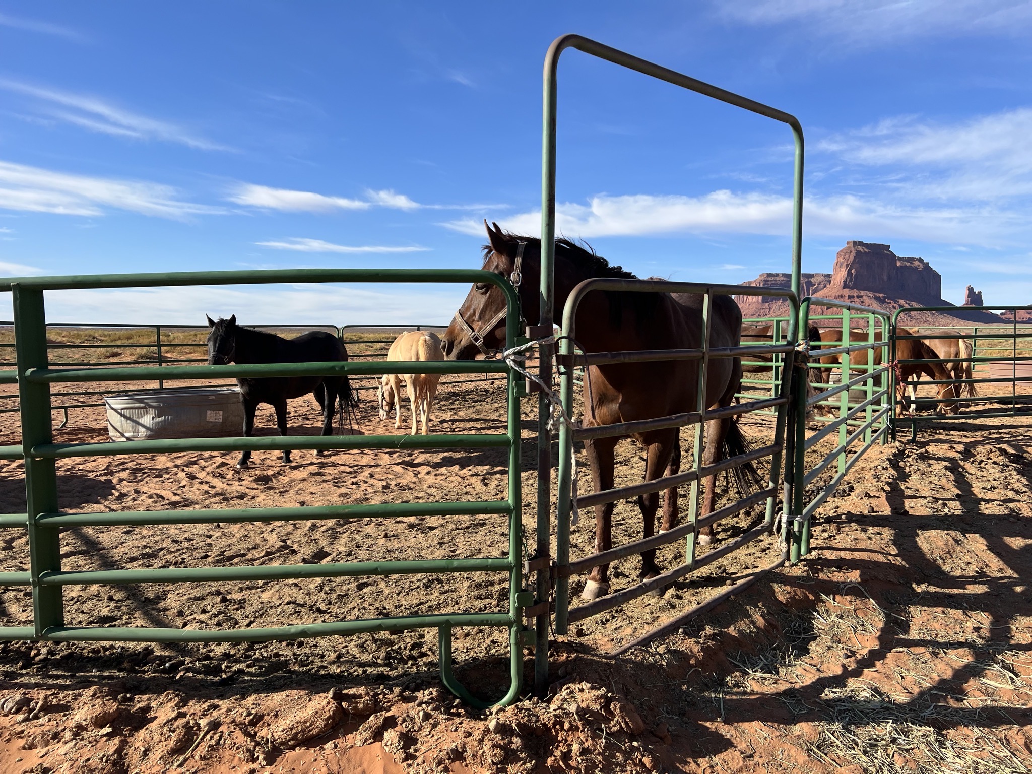 Horse tours