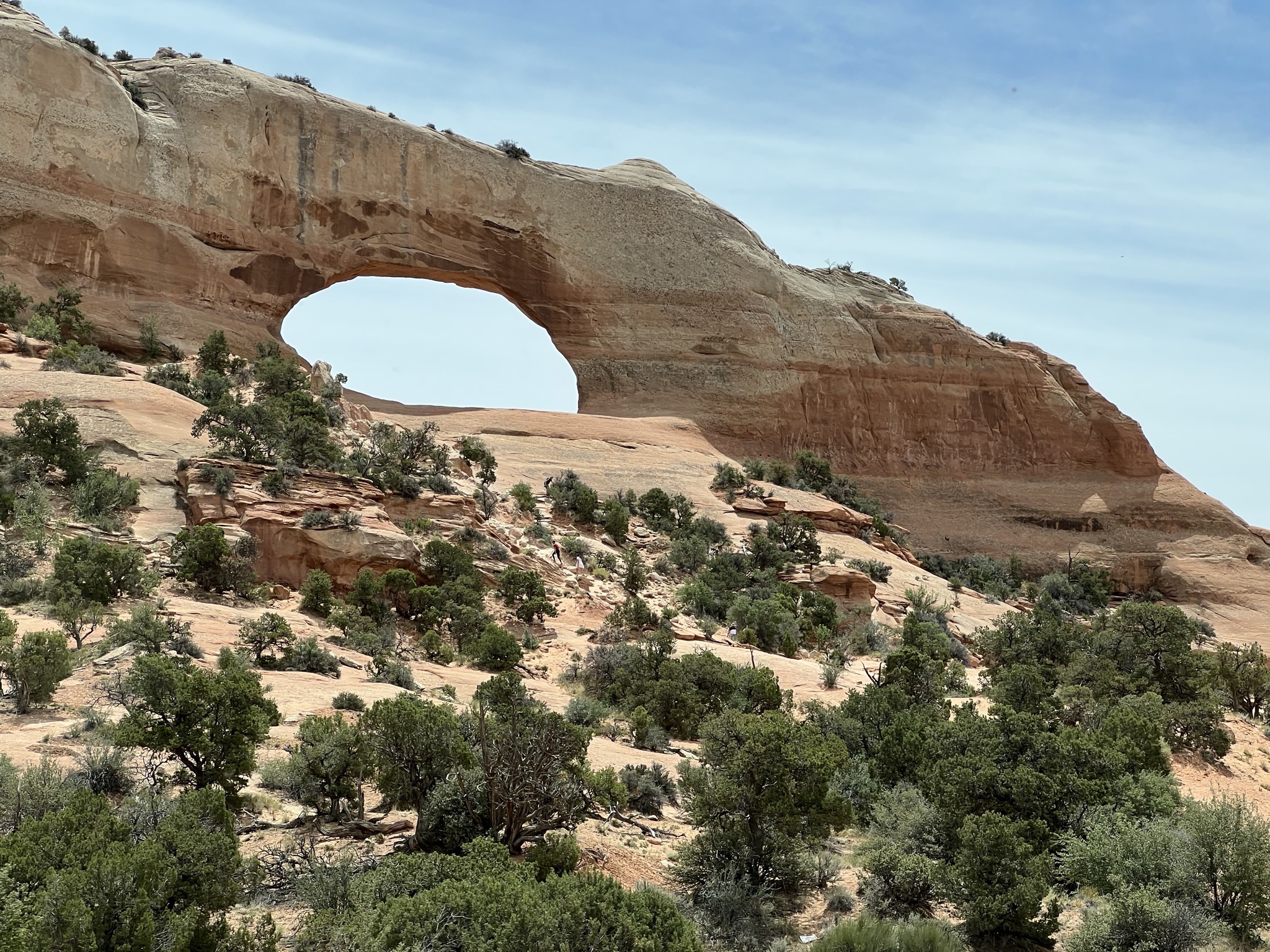 Arch