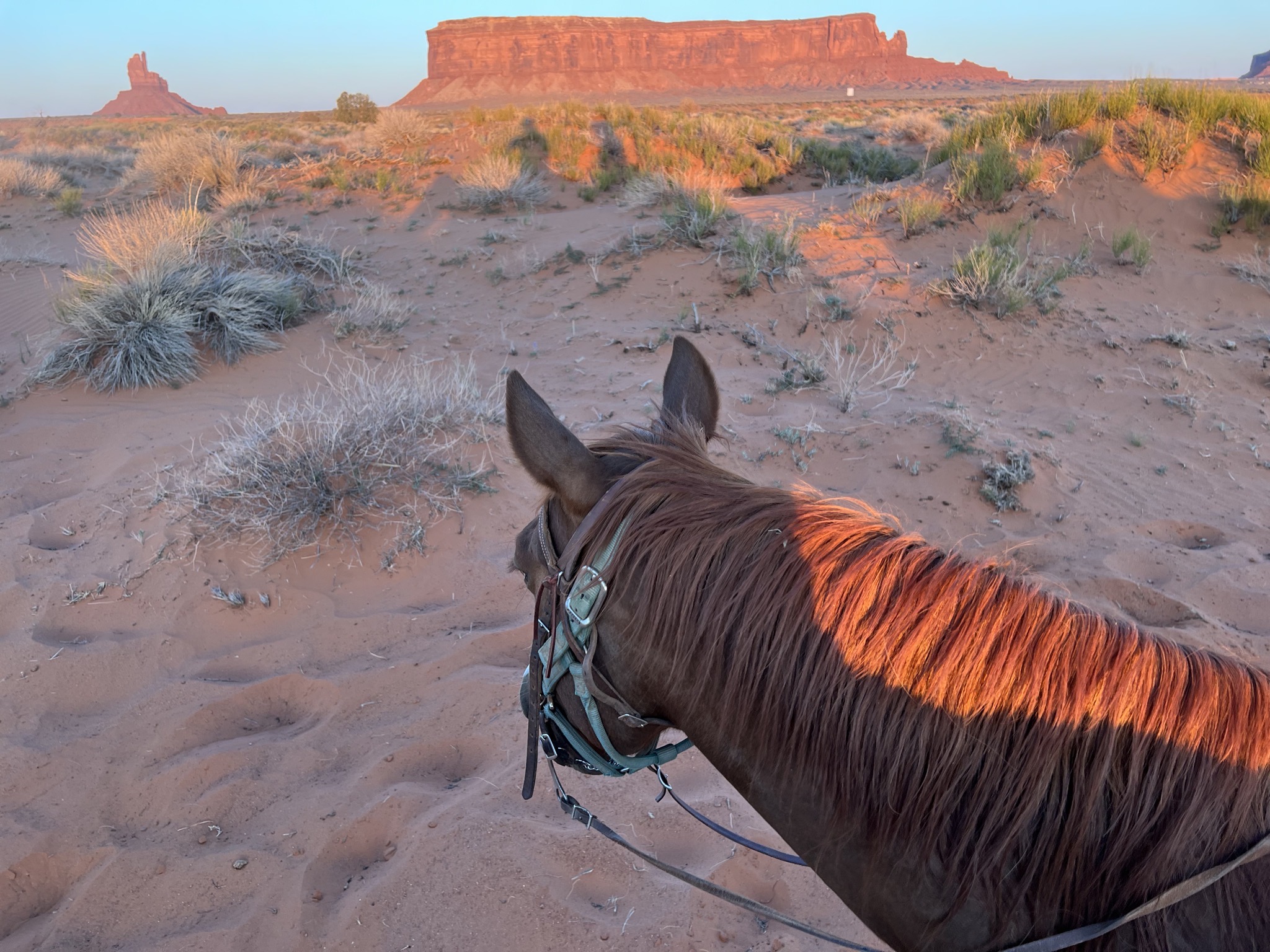 Horseback riding