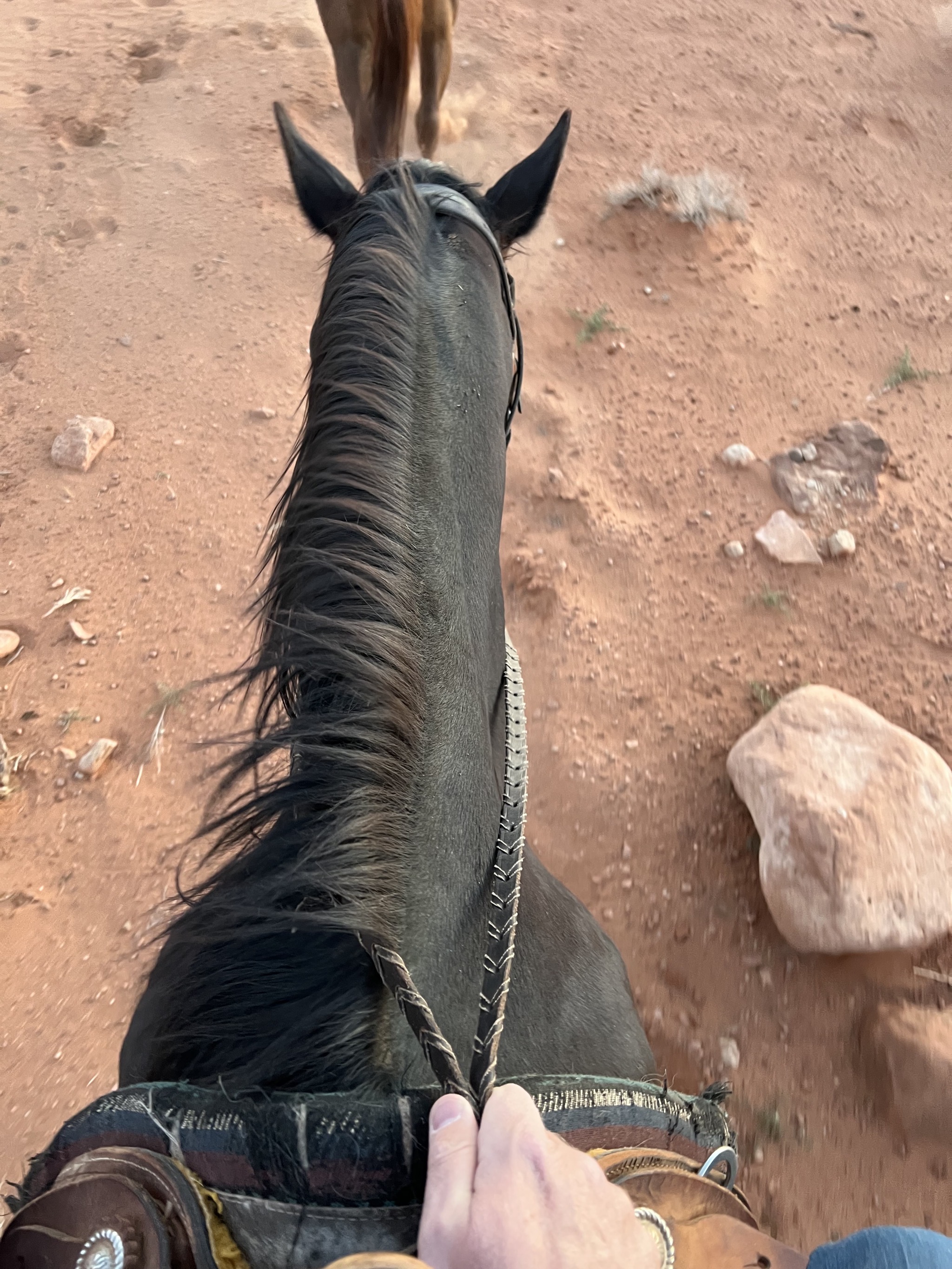 Horseback riding