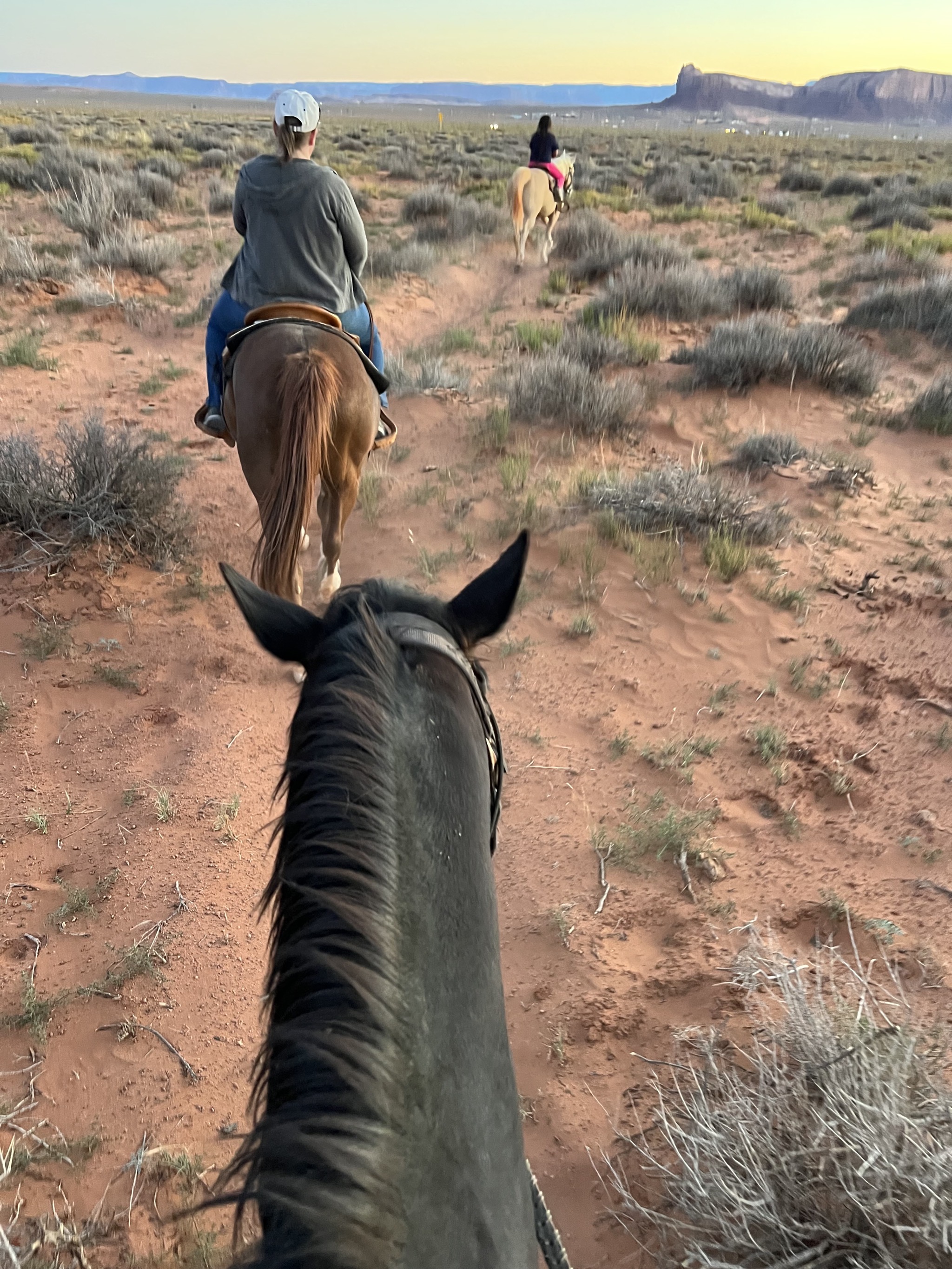 Horseback riding