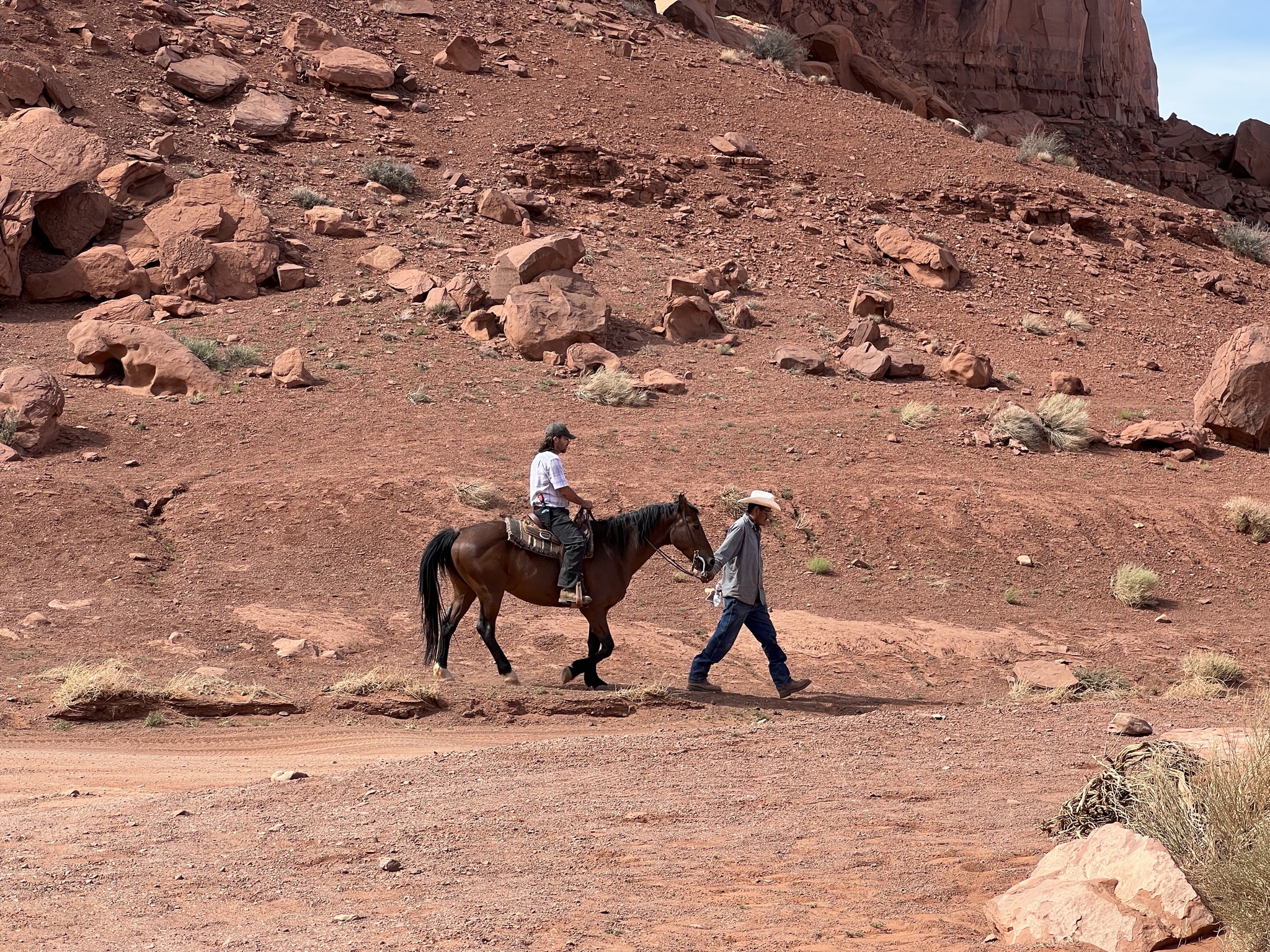 Horse