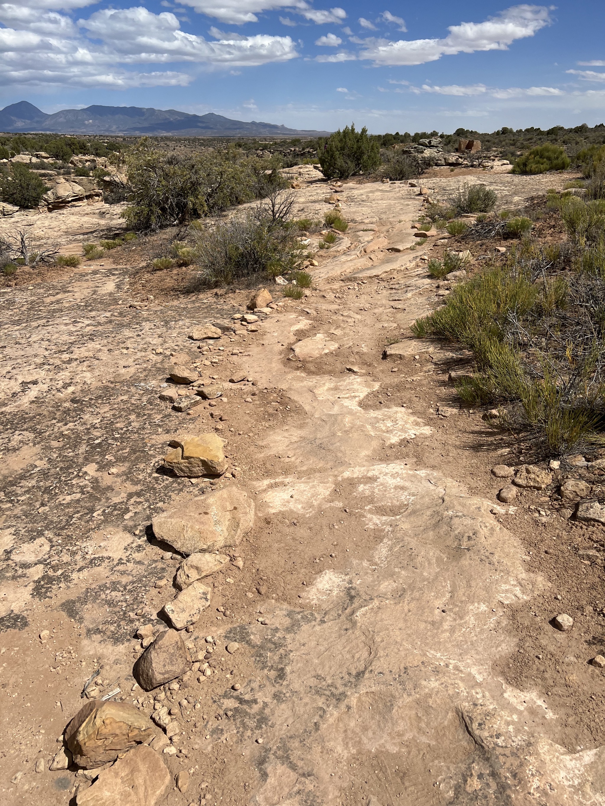 Path